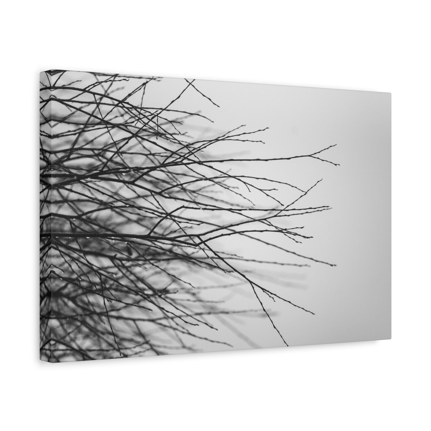 Canvas Print, Winter Tree Branches Matte Stretched