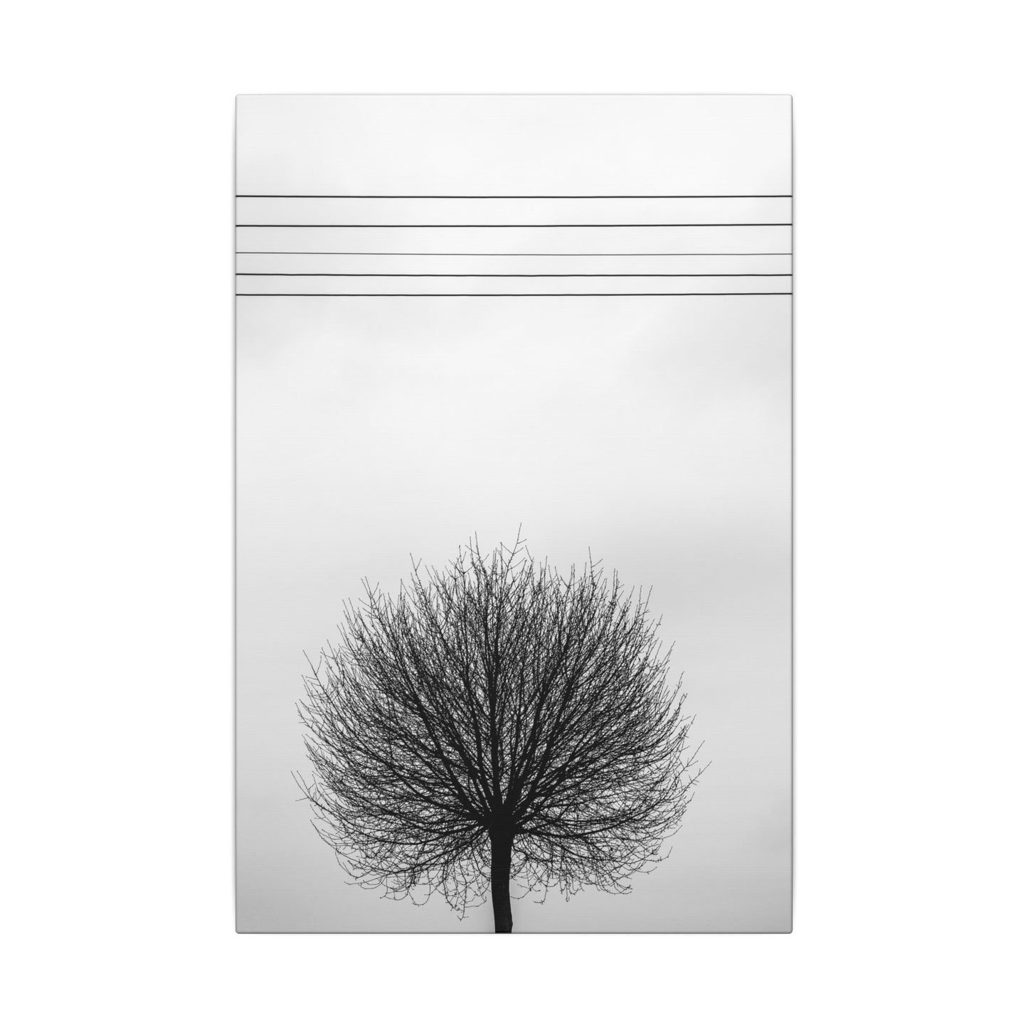 Seasons - Fall I. - Minimalist Wall Art Print, Stretched Canvas Art, Monochrome Home Decor, Black and White Tree Artwork, Modern Living Room Design