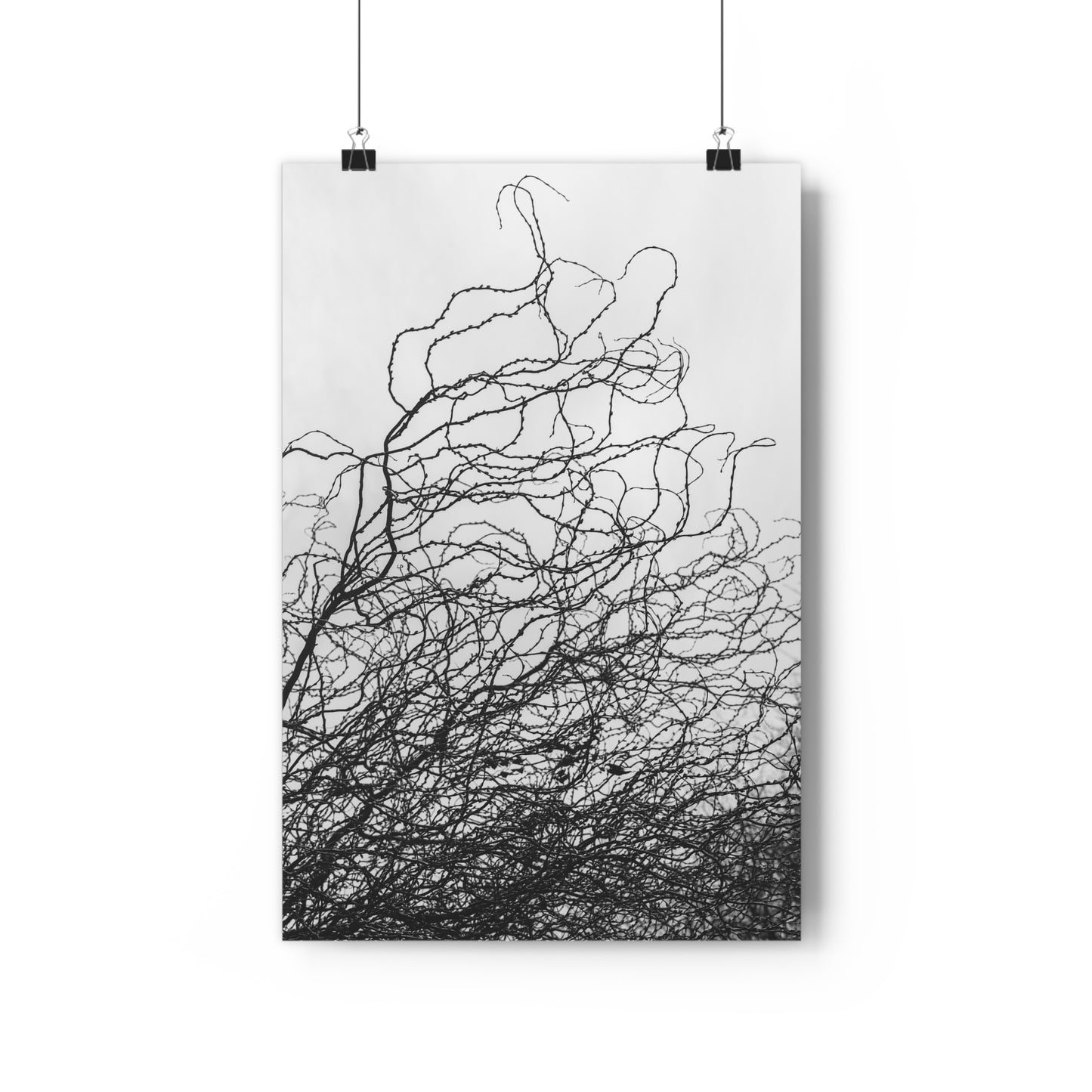 Giclée Art Print, Abstract Black and White Tree Branches, Wall Art Decor, Minimalist Home Decor, Fine Art Photography Print, Modern Art