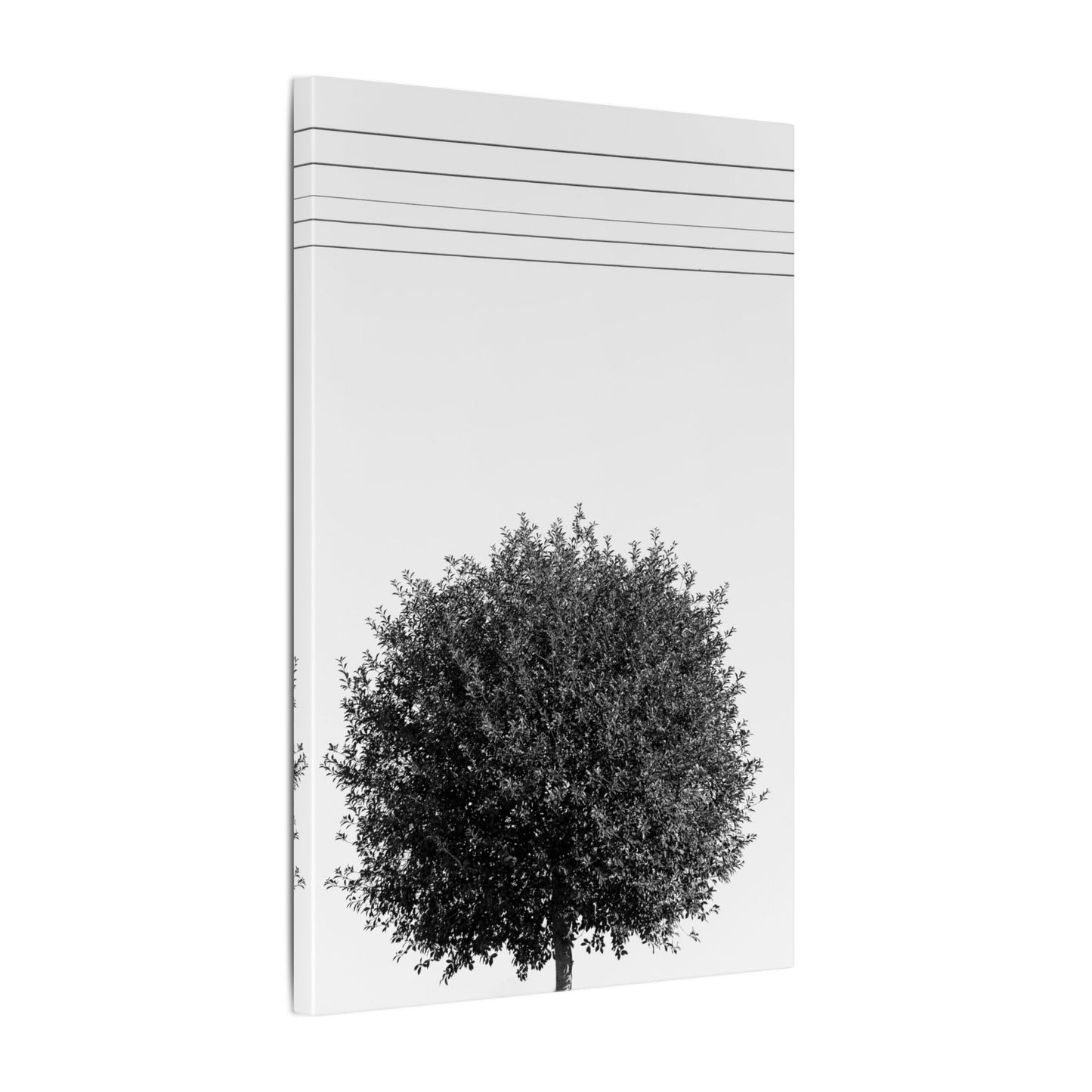 Seasons - summer - Minimalist Wall Art Print, Stretched Canvas Art, Monochrome Home Decor, Black and White Tree Artwork, Modern Living Room Design