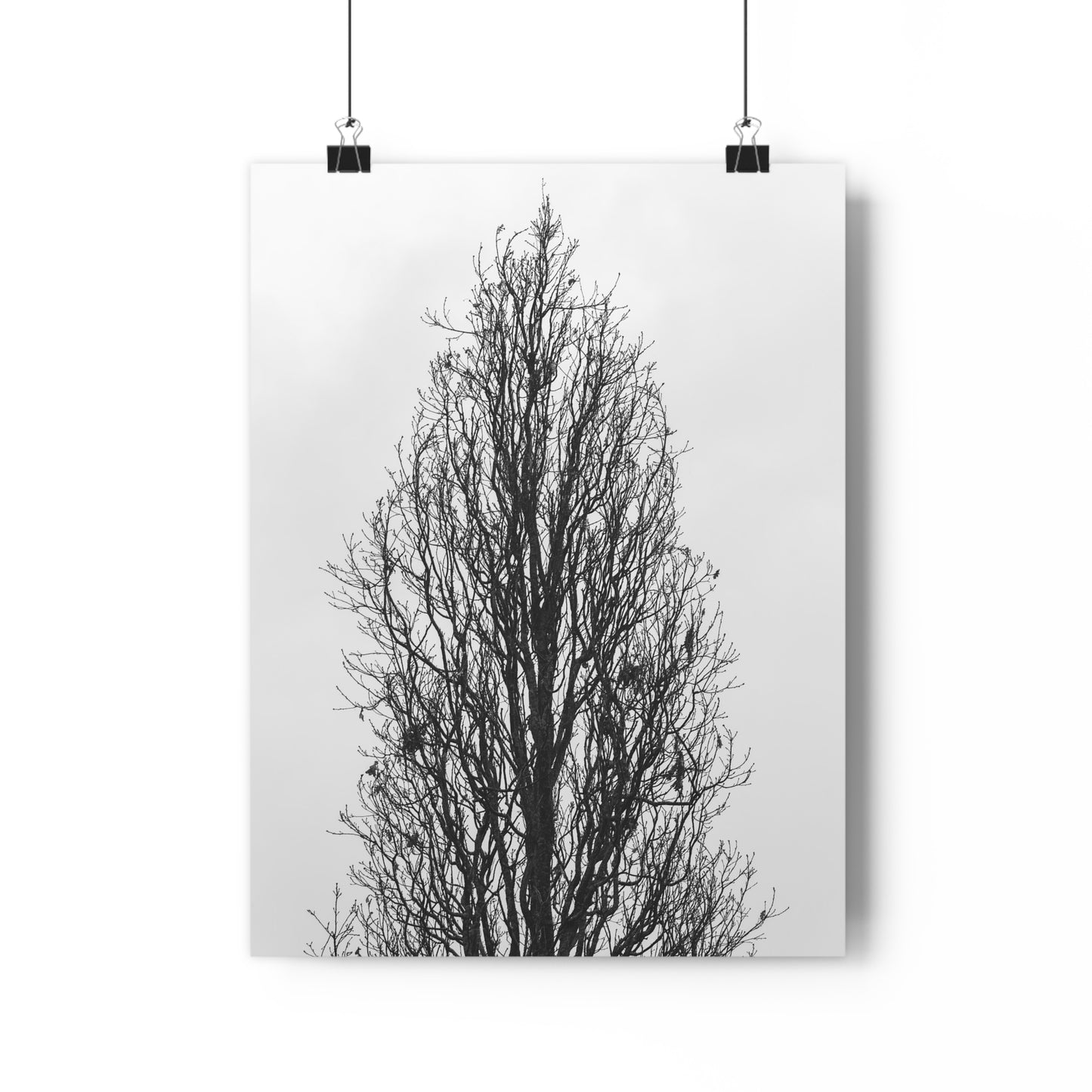 Giclée Art Print, Nature Wall Art, Tree Print, Minimalist Home Decor, Black and White Photography