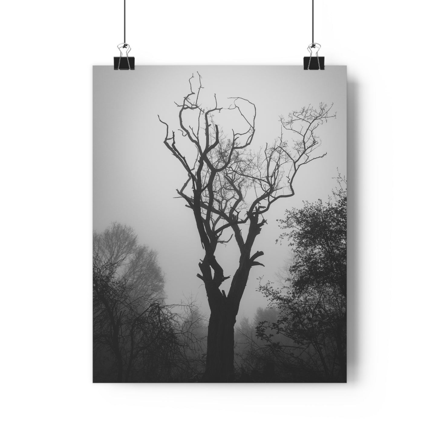 Giclée Art Print, Black and White Photo, Tree Silhouette Wall Decor, Foggy Weather Landscape, Nature Photography Poster, Home Office