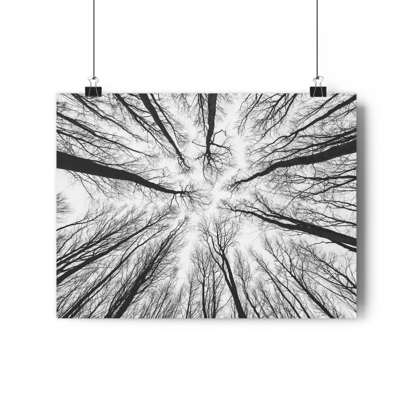 Wall Art Print of Winter Bald Tree Crowns, Black and White Photography, Home Decor, Nature Lover Gift, Christmas Wall