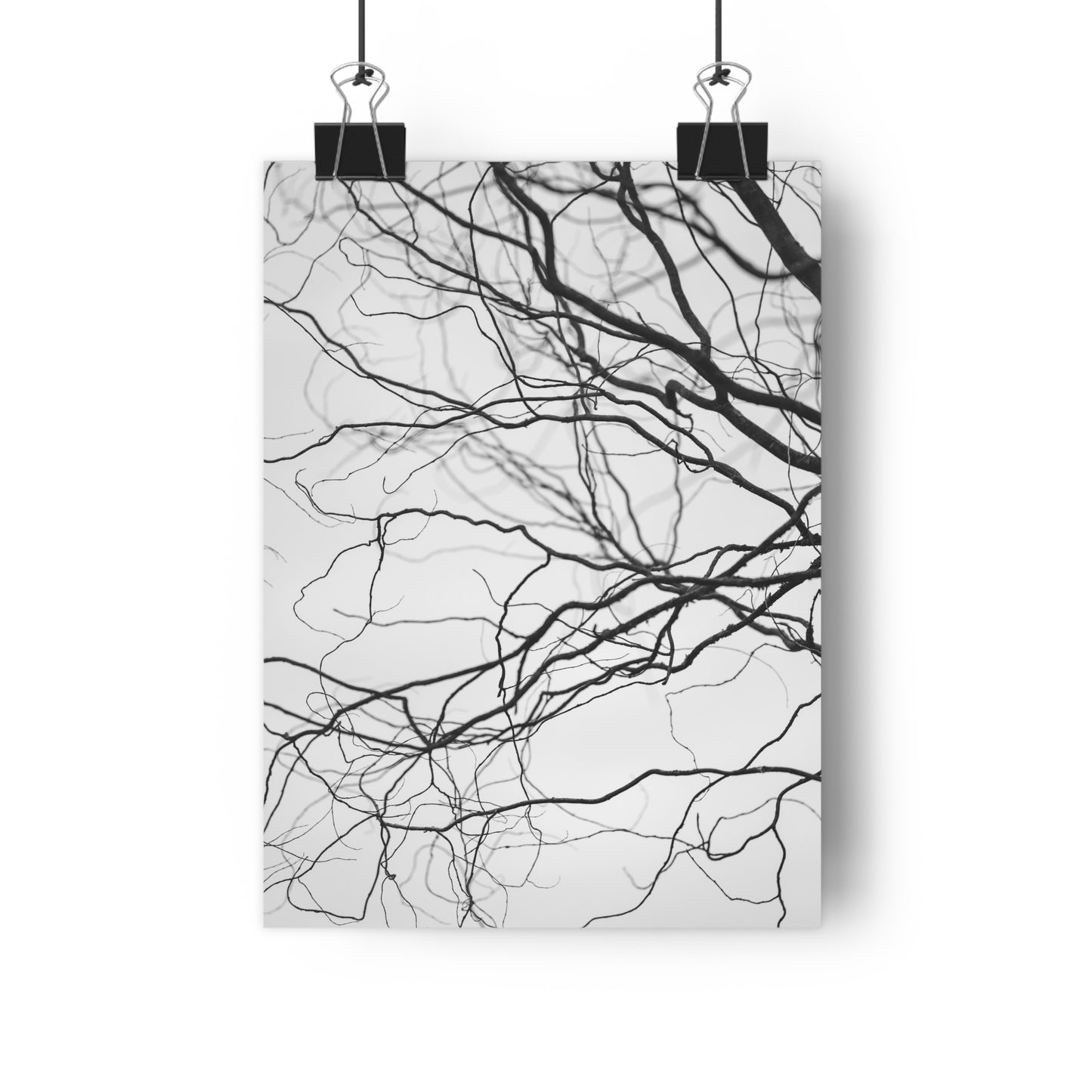 Giclée Art Print, Nature Wall Art, Tree Print, Minimalist Home Decor, Black and White Photography