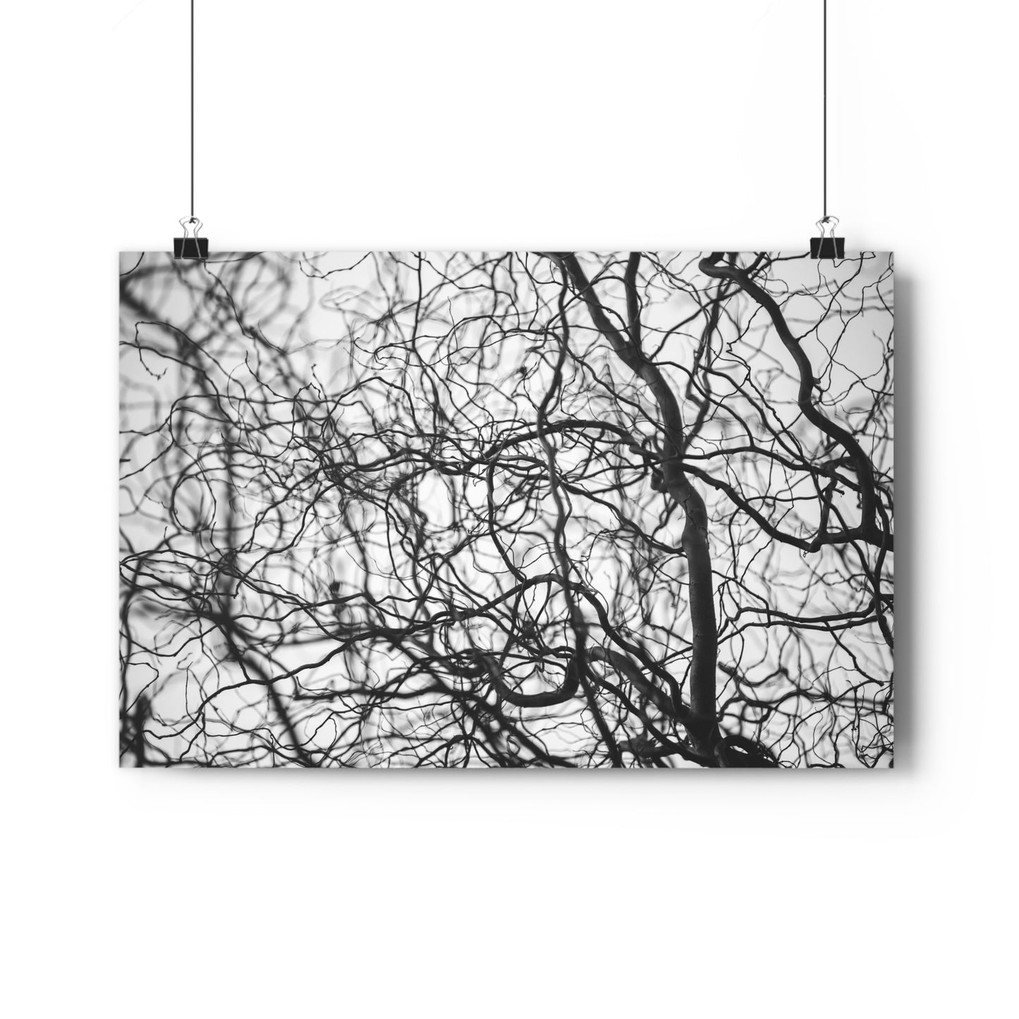 Giclée Art Print, Tree Branches at Winter Time, 'Tangled Whispers', Nature Wall Art, Home Decor, Gift for Nature Lover, Wall Decor, Winter