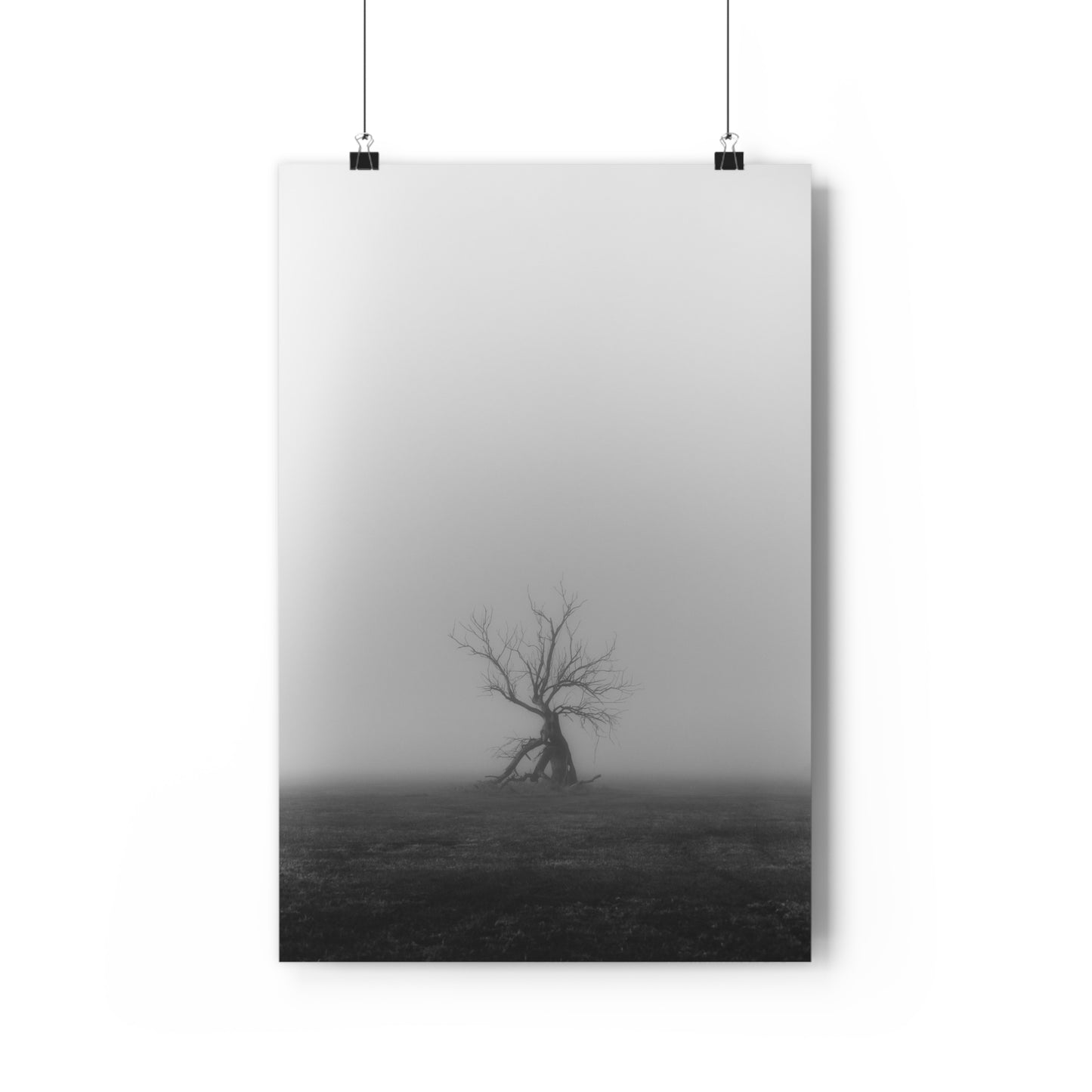 Giclée Art Print, Black and White Tree Photo, Wall Art Decor, Nature Lover Gift, Minimalist Home Decor, Ent Tree Art, Foggy Day Print