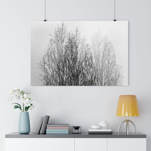 Giclée Art Print, Black and White Winter Tree Photo, Mysterious Multiexposure Wall Art, Home Decor, Nature Photography, Holiday Gift Idea