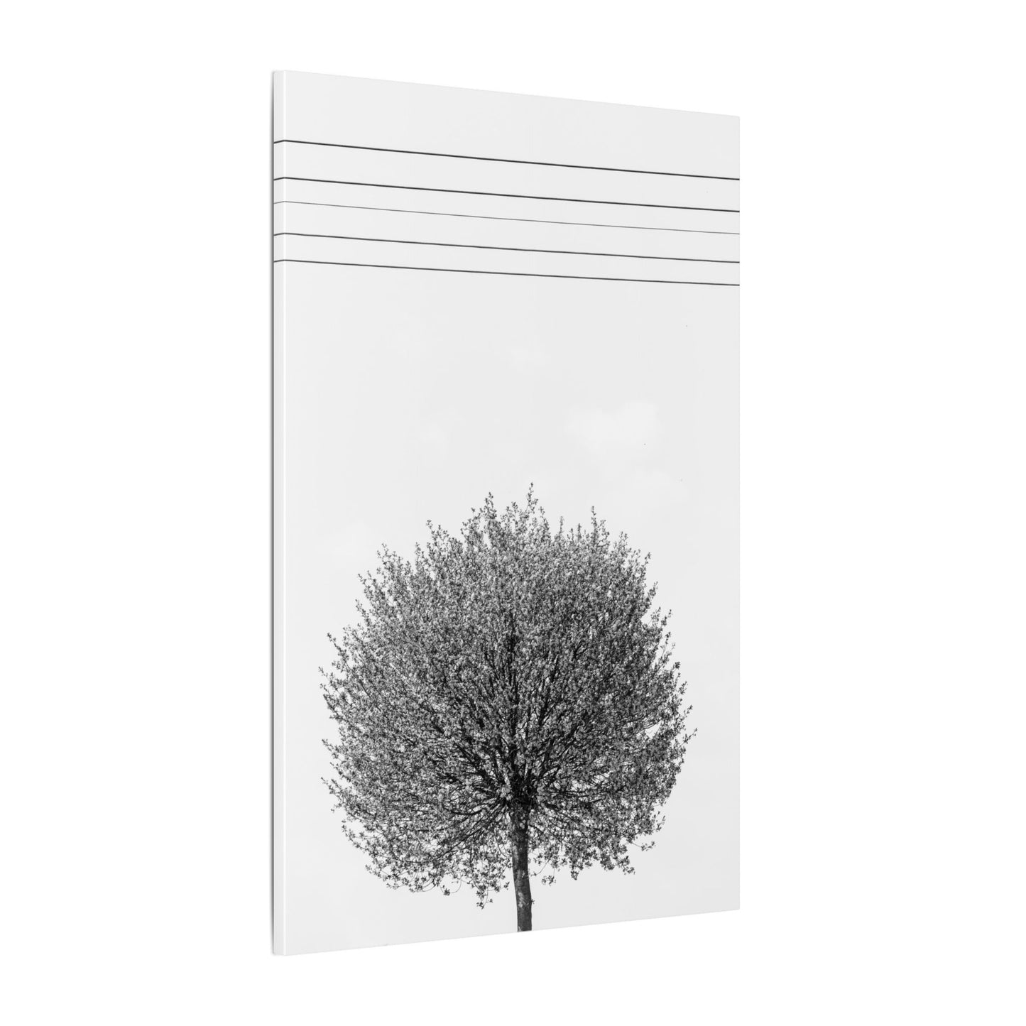 Seasons - spring - Minimalist Wall Art Print, Stretched Canvas Art, Monochrome Home Decor, Black and White Tree Artwork, Modern Living Room Design