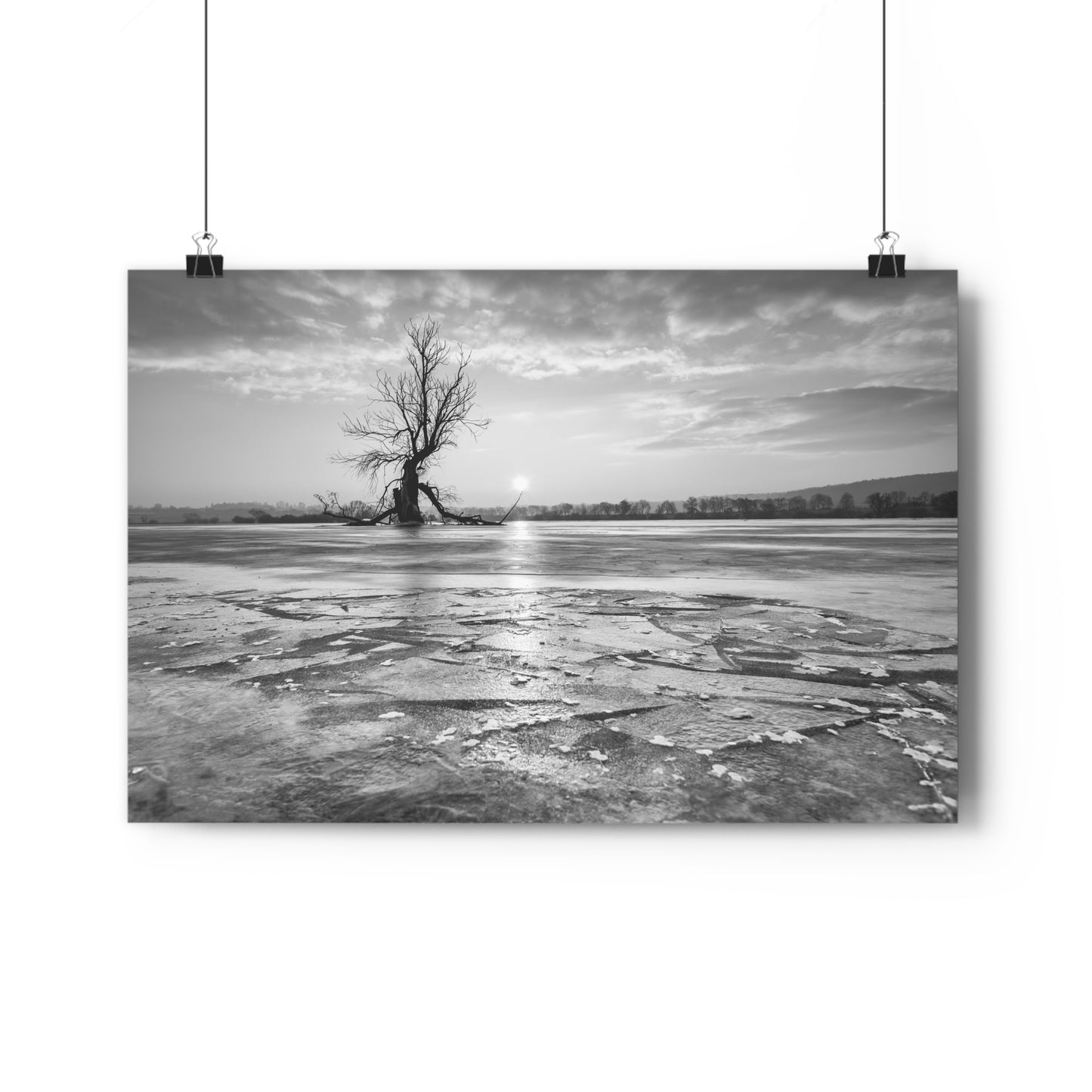 Giclée Art Print, Old Tree 'The Last Ent' Winter Sunset Black White Photo, Wall Art Decor, Nature Lover Gift, Landscape Photography, Fine