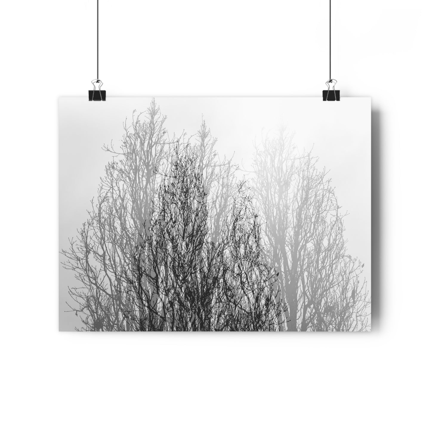 Giclée Art Print, Black and White Winter Tree Photo, Mysterious Multiexposure Wall Art, Home Decor, Nature Photography, Holiday Gift Idea