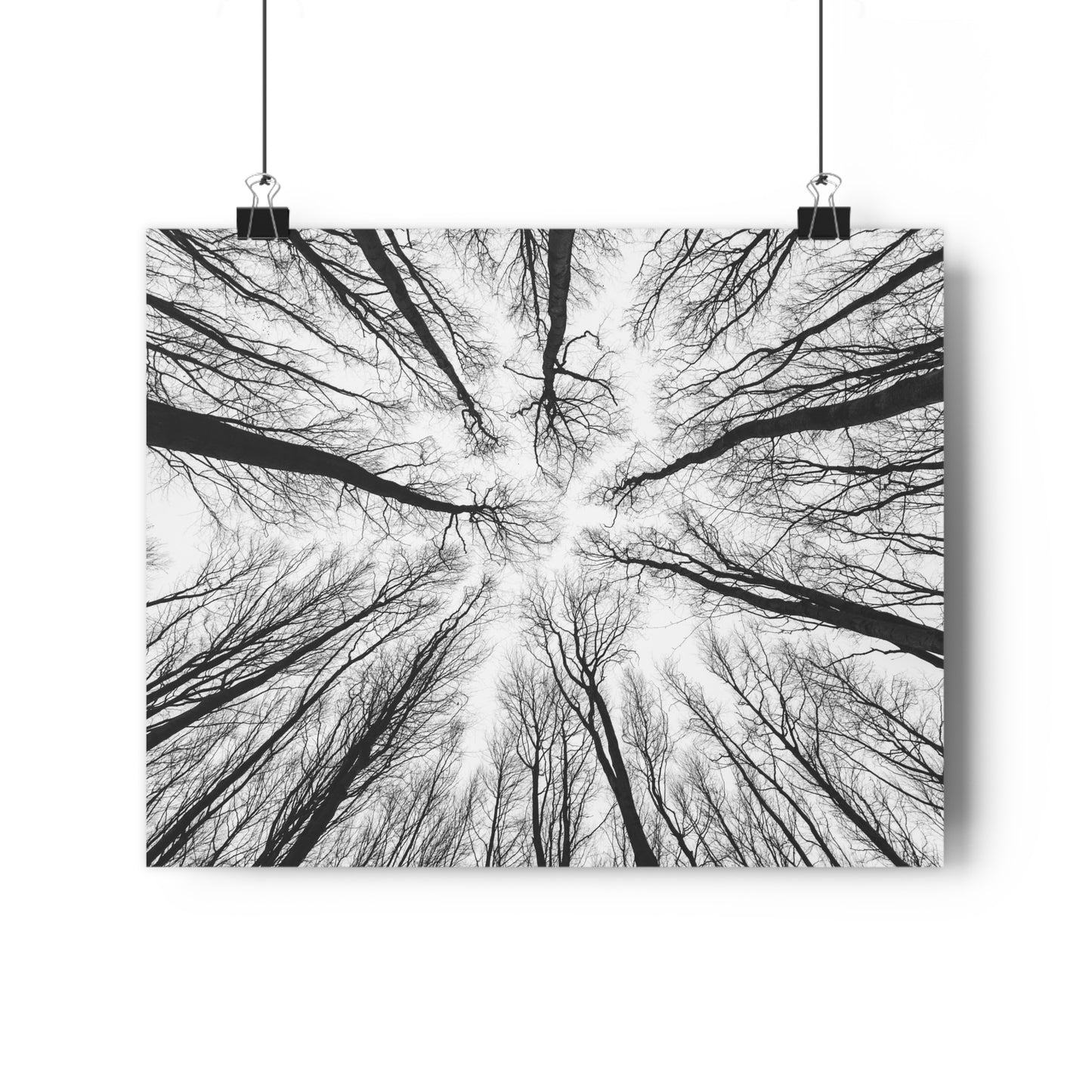 Wall Art Print of Winter Bald Tree Crowns, Black and White Photography, Home Decor, Nature Lover Gift, Christmas Wall