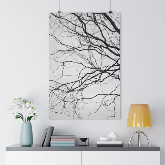 Giclée Art Print, Nature Wall Art, Tree Print, Minimalist Home Decor, Black and White Photography