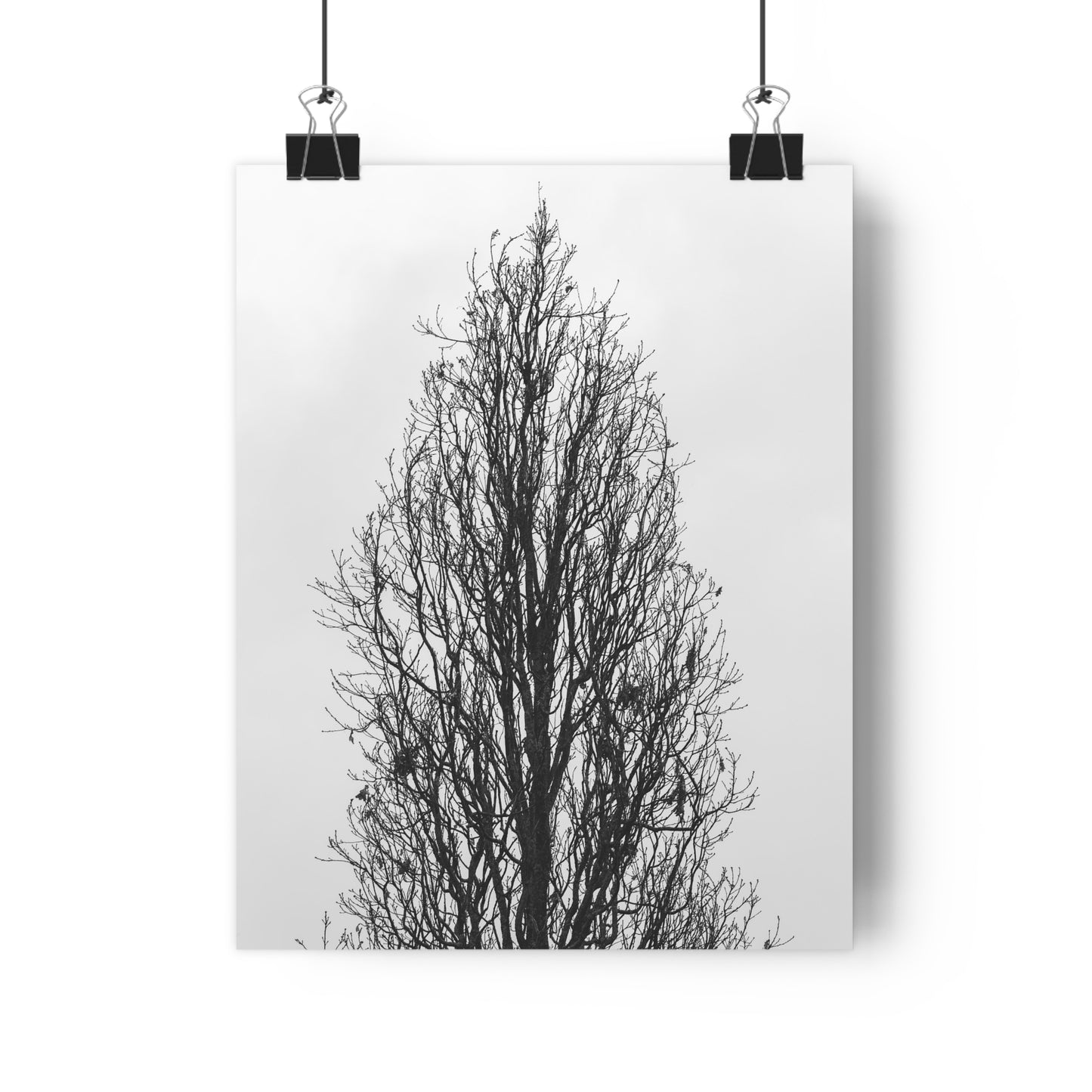 Giclée Art Print, Nature Wall Art, Tree Print, Minimalist Home Decor, Black and White Photography