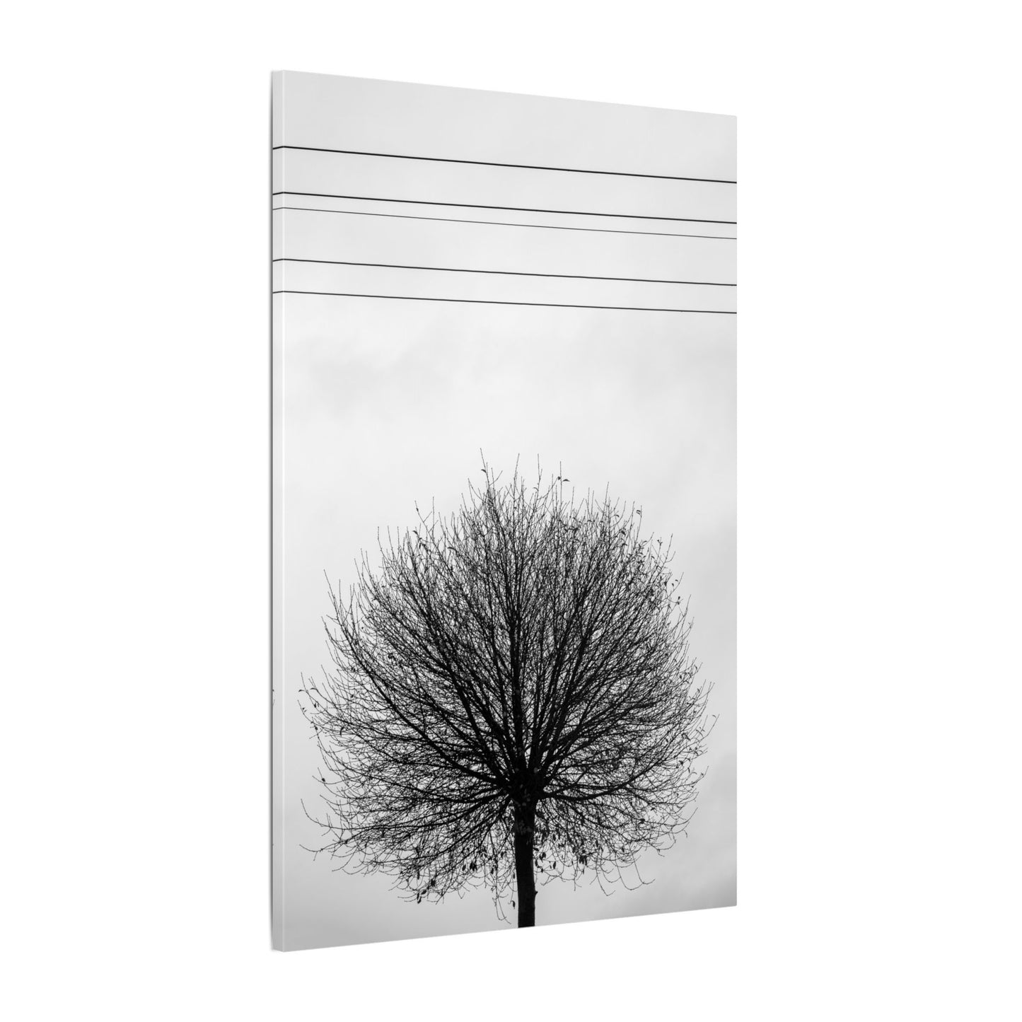 Seasons - Fall III. - Minimalist Wall Art Print, Stretched Canvas Art, Monochrome Home Decor, Black and White Tree Artwork, Modern Living Room Design