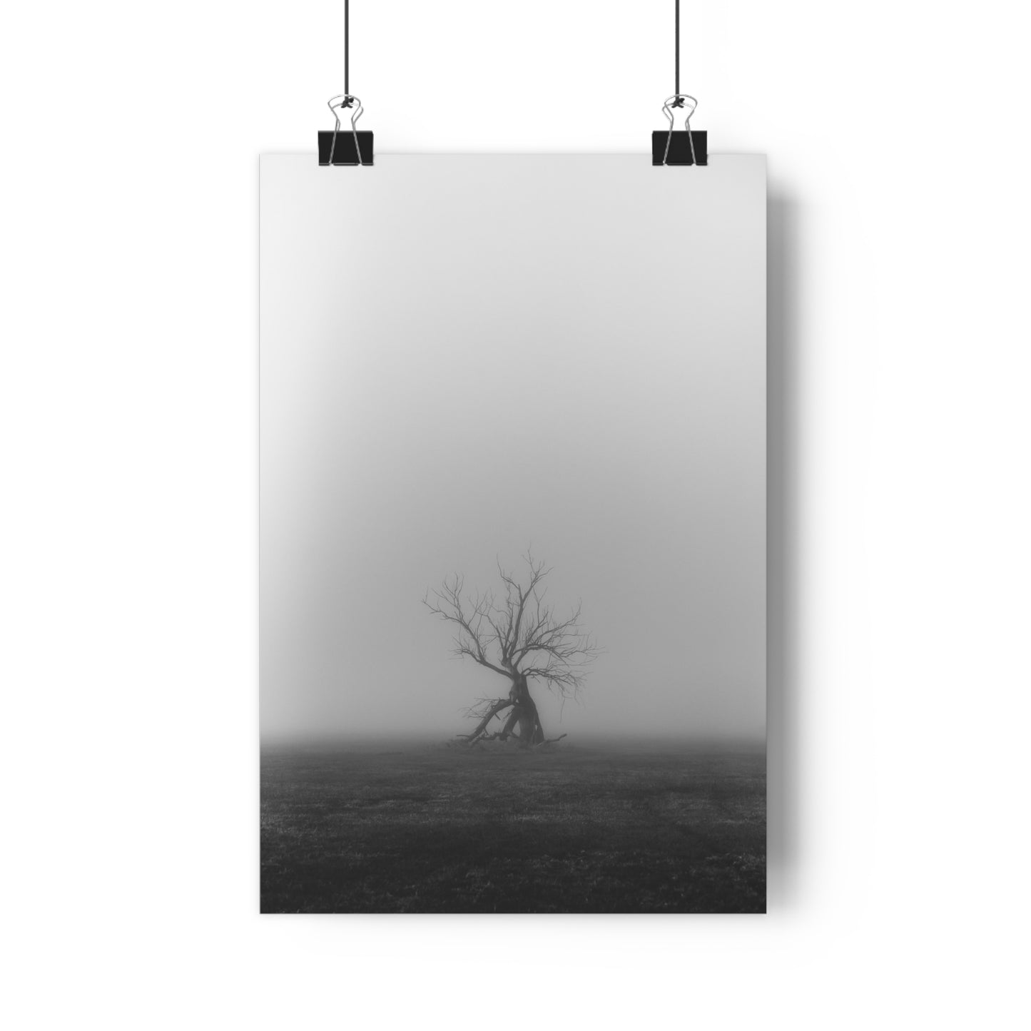 Giclée Art Print, Black and White Tree Photo, Wall Art Decor, Nature Lover Gift, Minimalist Home Decor, Ent Tree Art, Foggy Day Print
