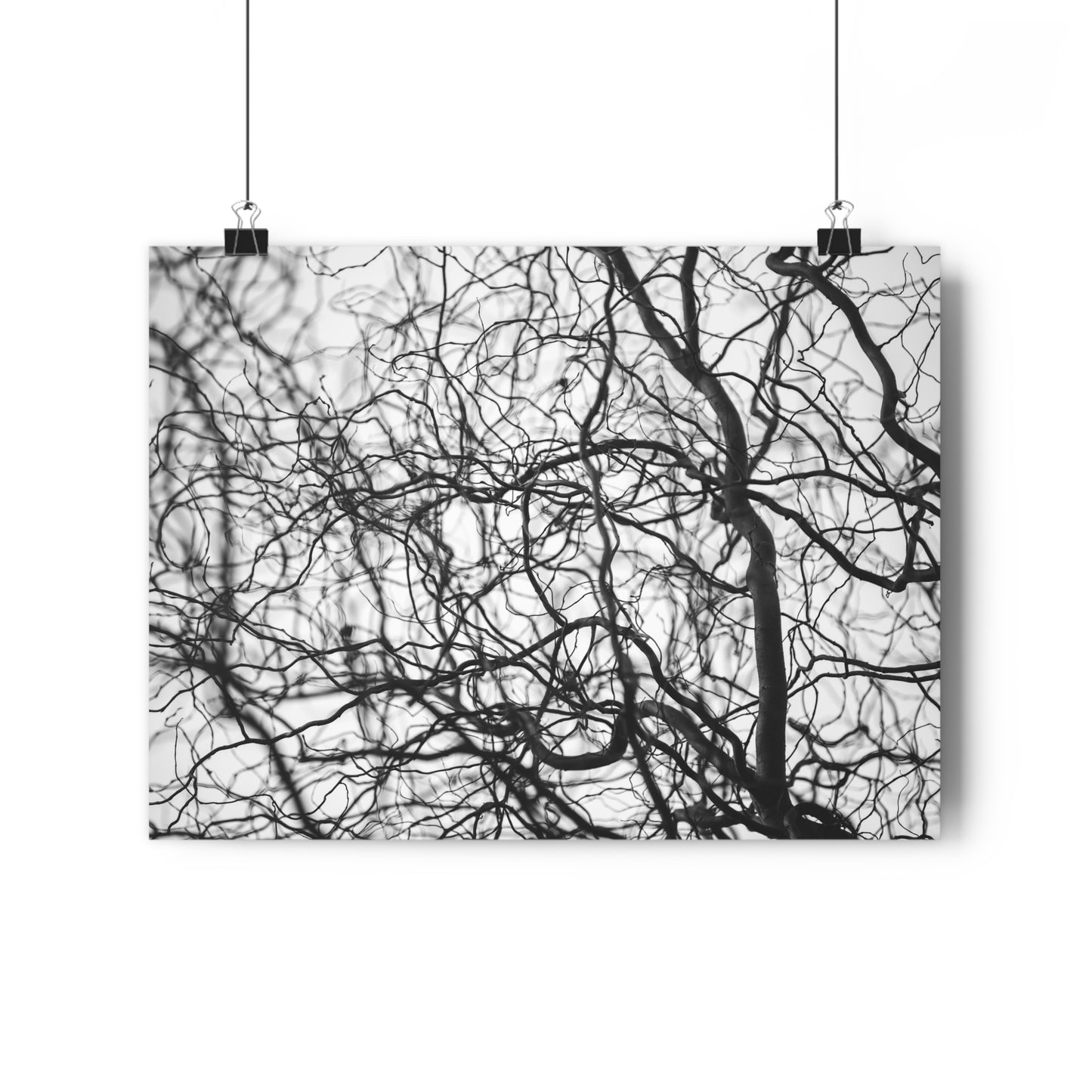 Giclée Art Print, Tree Branches at Winter Time, 'Tangled Whispers', Nature Wall Art, Home Decor, Gift for Nature Lover, Wall Decor, Winter