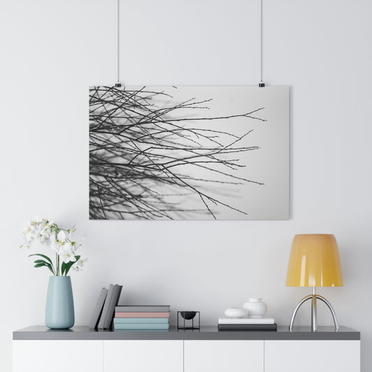 Giclée Art Print, Tree Branches at Winter Time, 'Tangled Whispers', Nature Wall Art, Home Decor, Gift for Nature Lover, Wall Decor, Winter