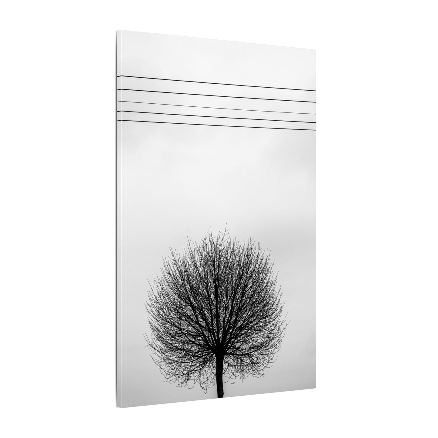 Seasons - Fall I. - Minimalist Wall Art Print, Stretched Canvas Art, Monochrome Home Decor, Black and White Tree Artwork, Modern Living Room Design