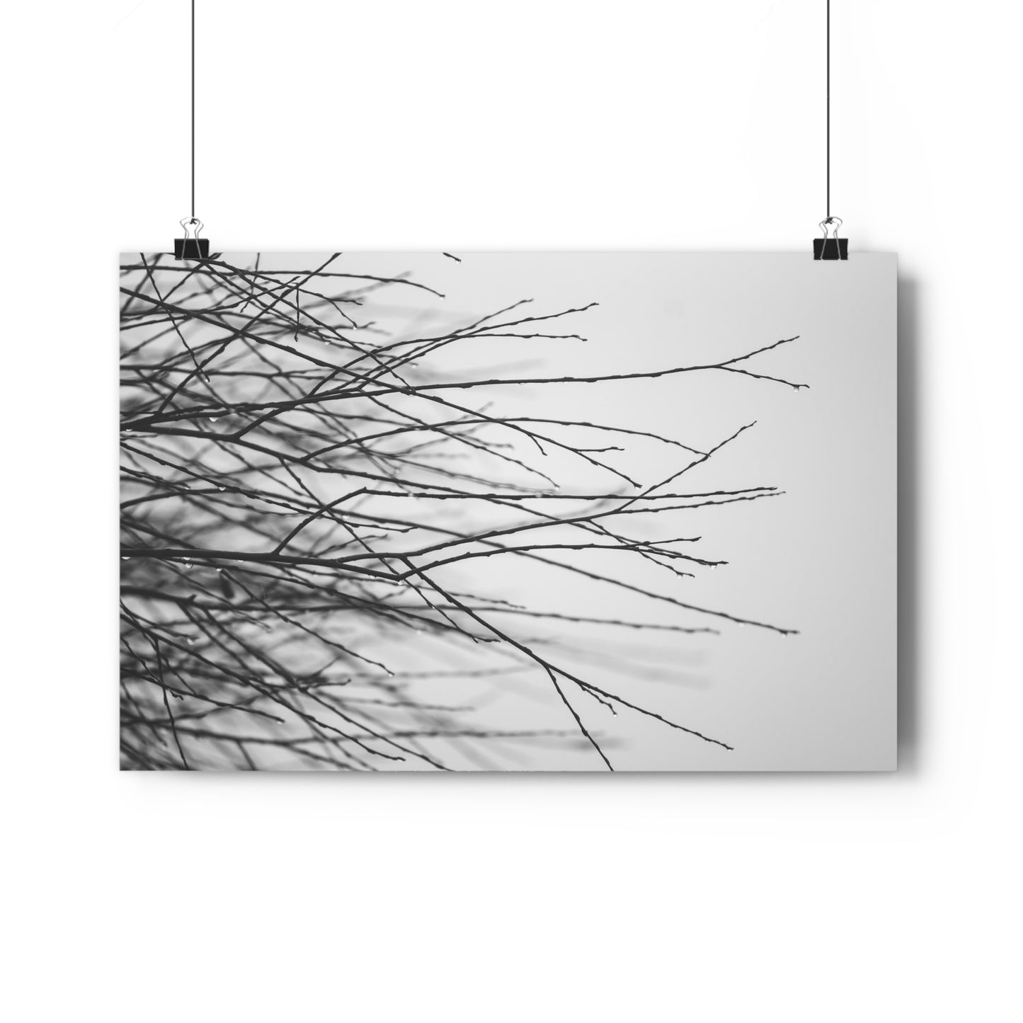 Giclée Art Print, Tree Branches at Winter Time, 'Tangled Whispers', Nature Wall Art, Home Decor, Gift for Nature Lover, Wall Decor, Winter