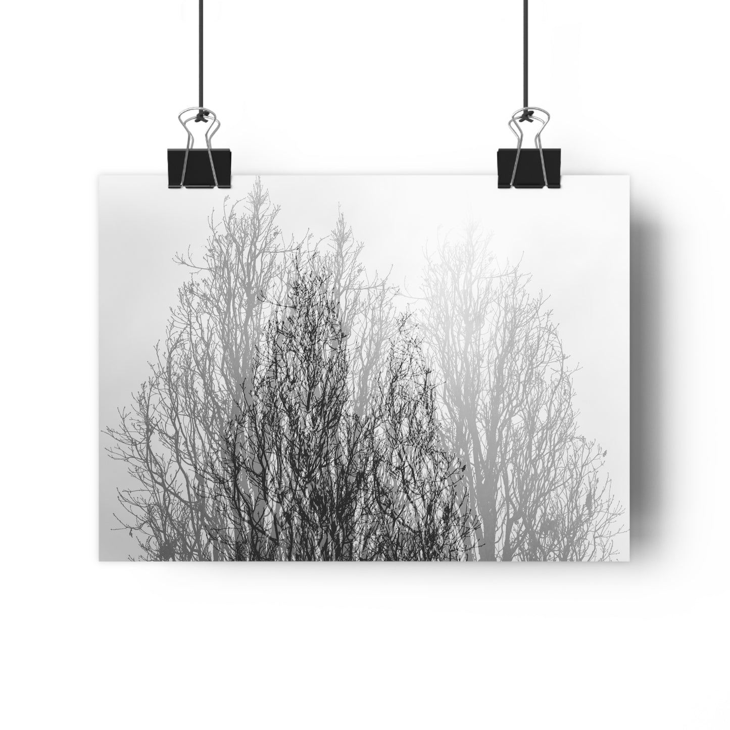 Giclée Art Print, Black and White Winter Tree Photo, Mysterious Multiexposure Wall Art, Home Decor, Nature Photography, Holiday Gift Idea