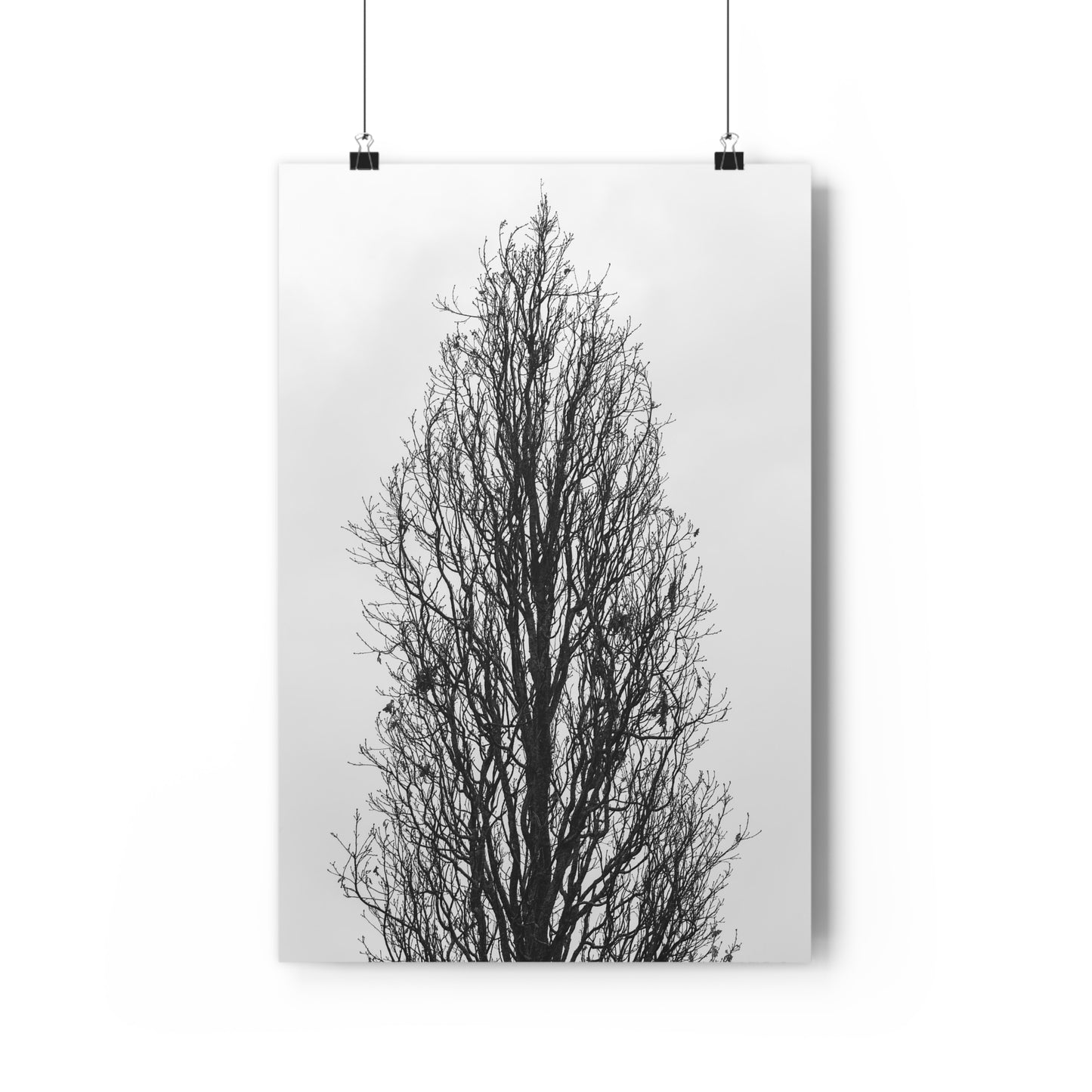 Giclée Art Print, Nature Wall Art, Tree Print, Minimalist Home Decor, Black and White Photography