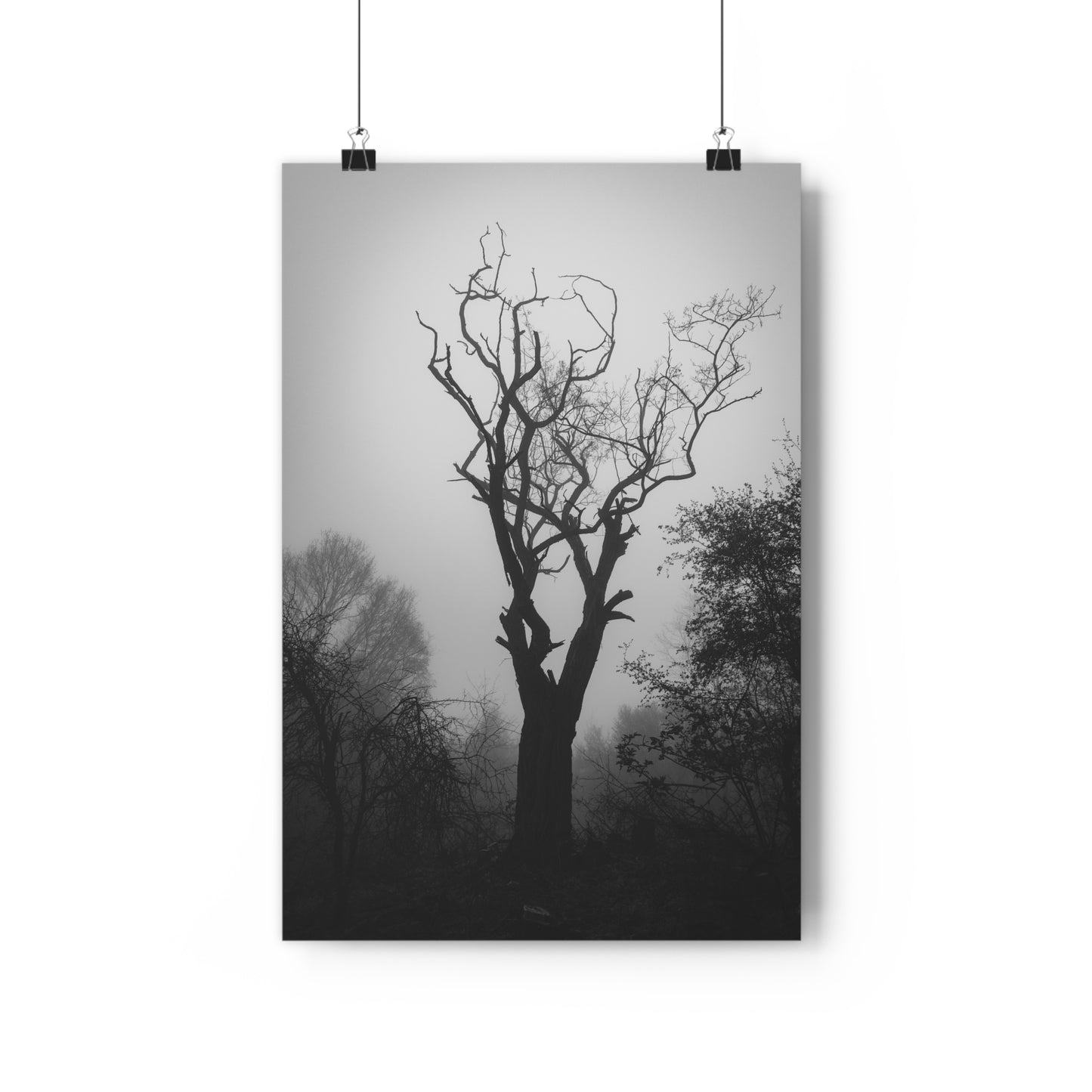 Giclée Art Print, Black and White Photo, Tree Silhouette Wall Decor, Foggy Weather Landscape, Nature Photography Poster, Home Office