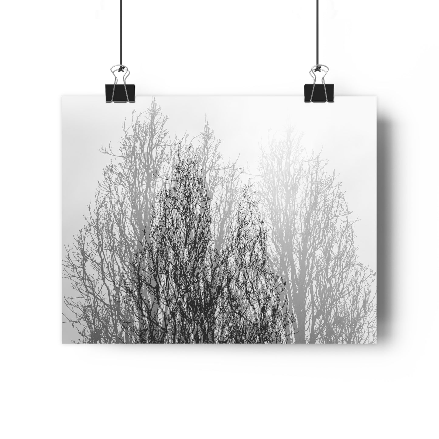 Giclée Art Print, Black and White Winter Tree Photo, Mysterious Multiexposure Wall Art, Home Decor, Nature Photography, Holiday Gift Idea