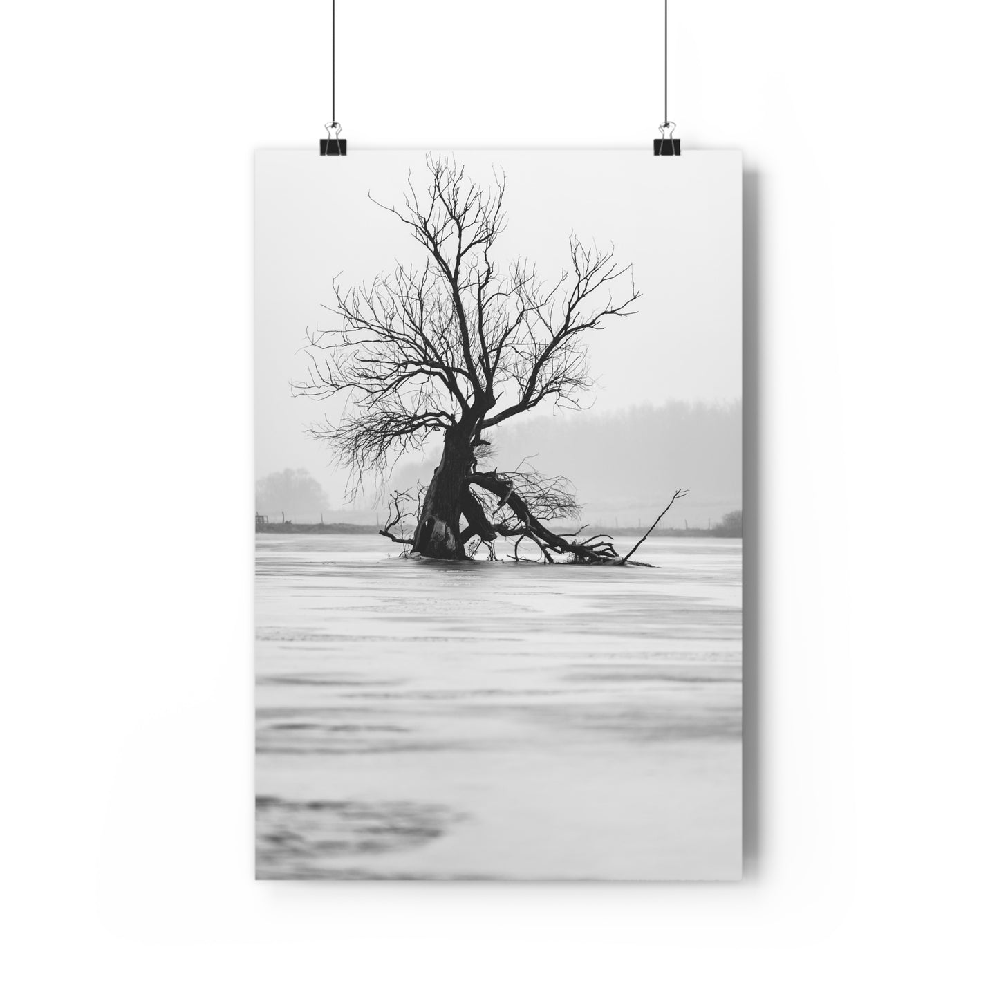 Giclée Print, Black and White Old Tree 'The Last Ent' in Frozen Field Winter Day Photo, Wall Art Decor, Nature Print, Tree Lover Gift, Home