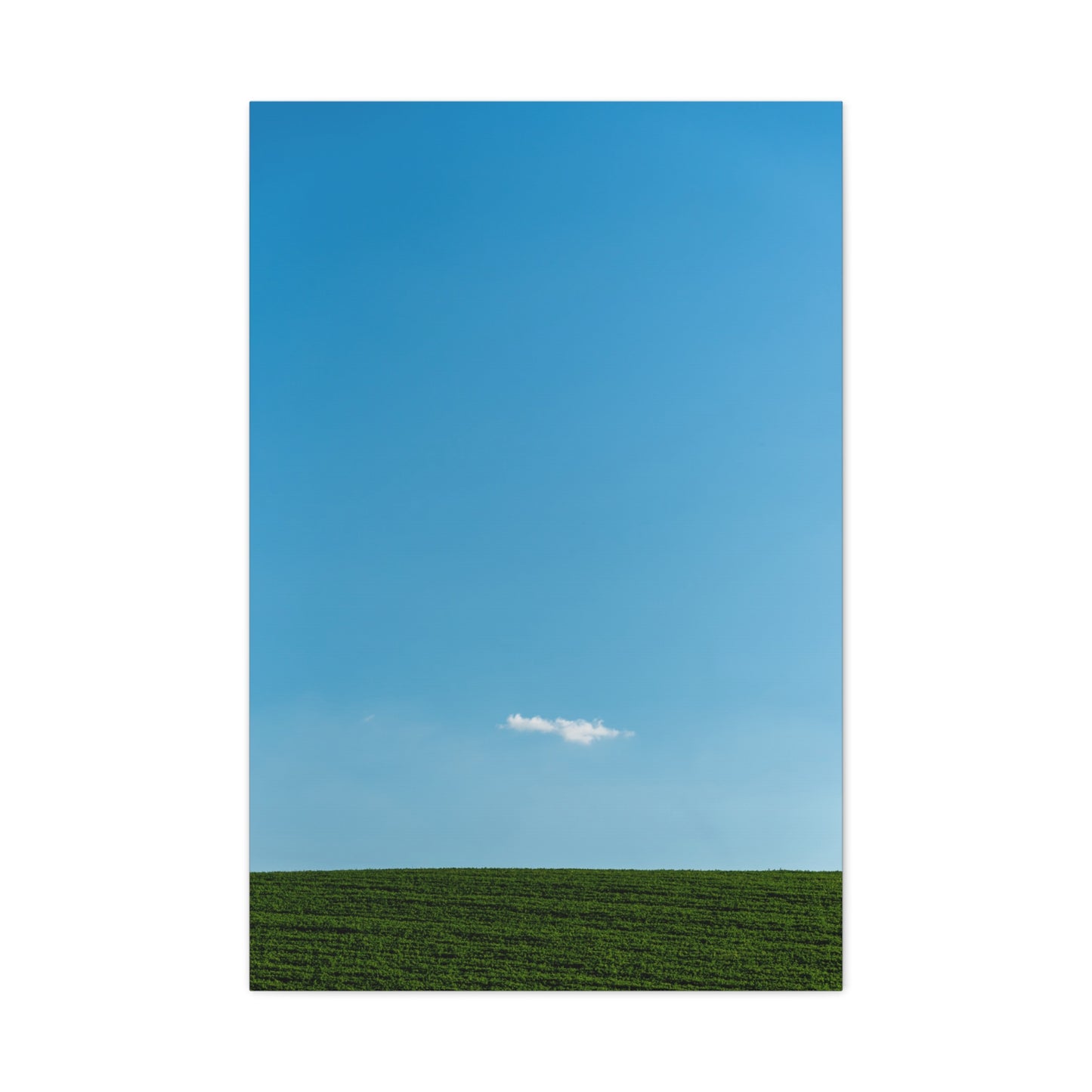 Canvas Wall Art "Cloudy" - Tiny White Cloud on Blue Sky Design