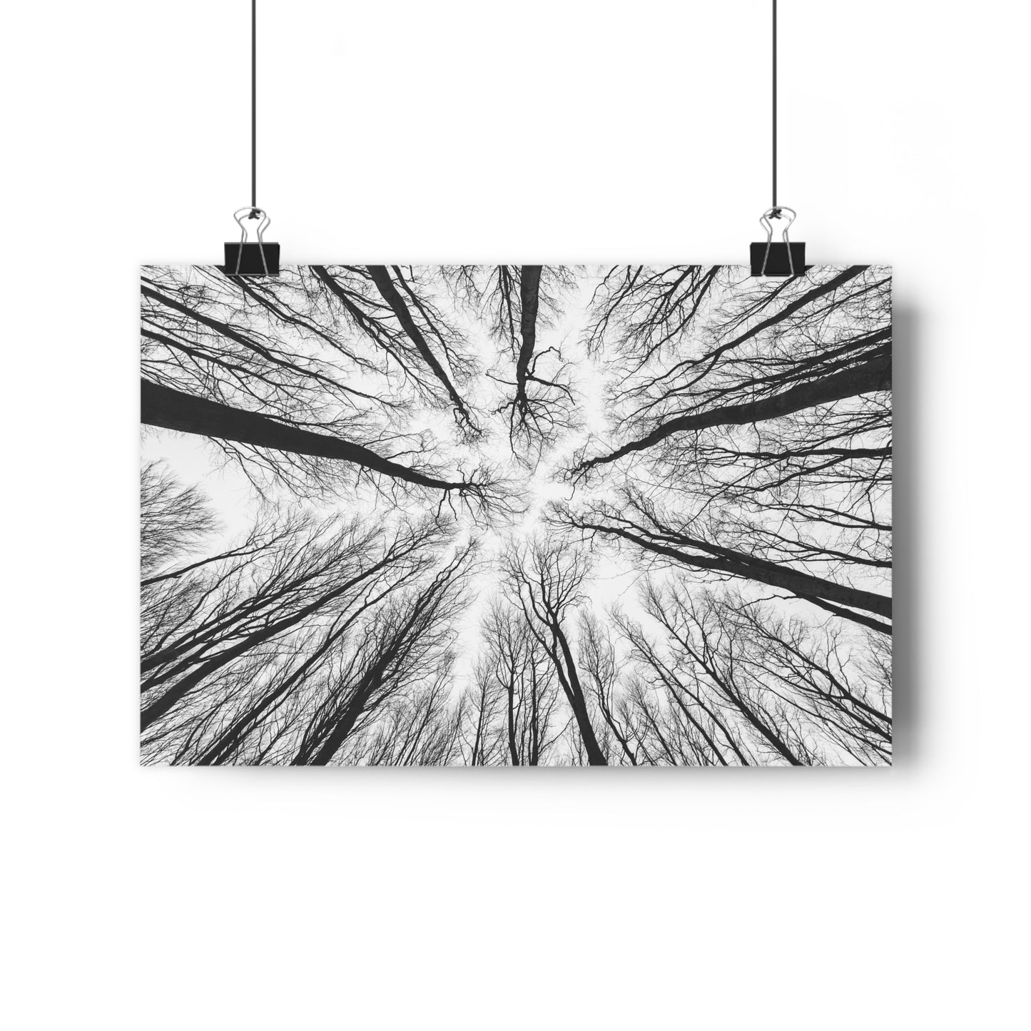 Wall Art Print of Winter Bald Tree Crowns, Black and White Photography, Home Decor, Nature Lover Gift, Christmas Wall