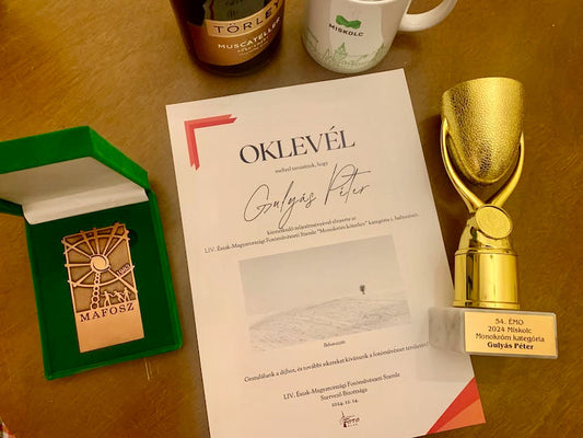 Winner of the Collection Award at the Northern Hungarian Photographic Review 2024