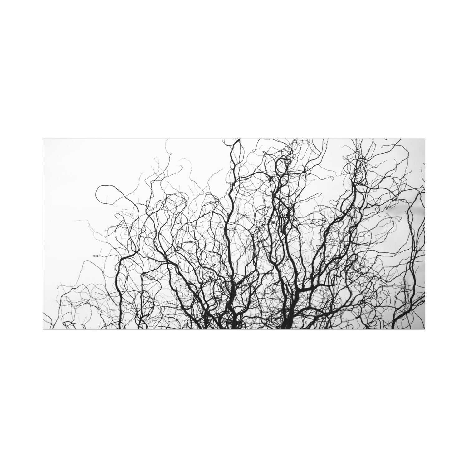 Tangled whispers