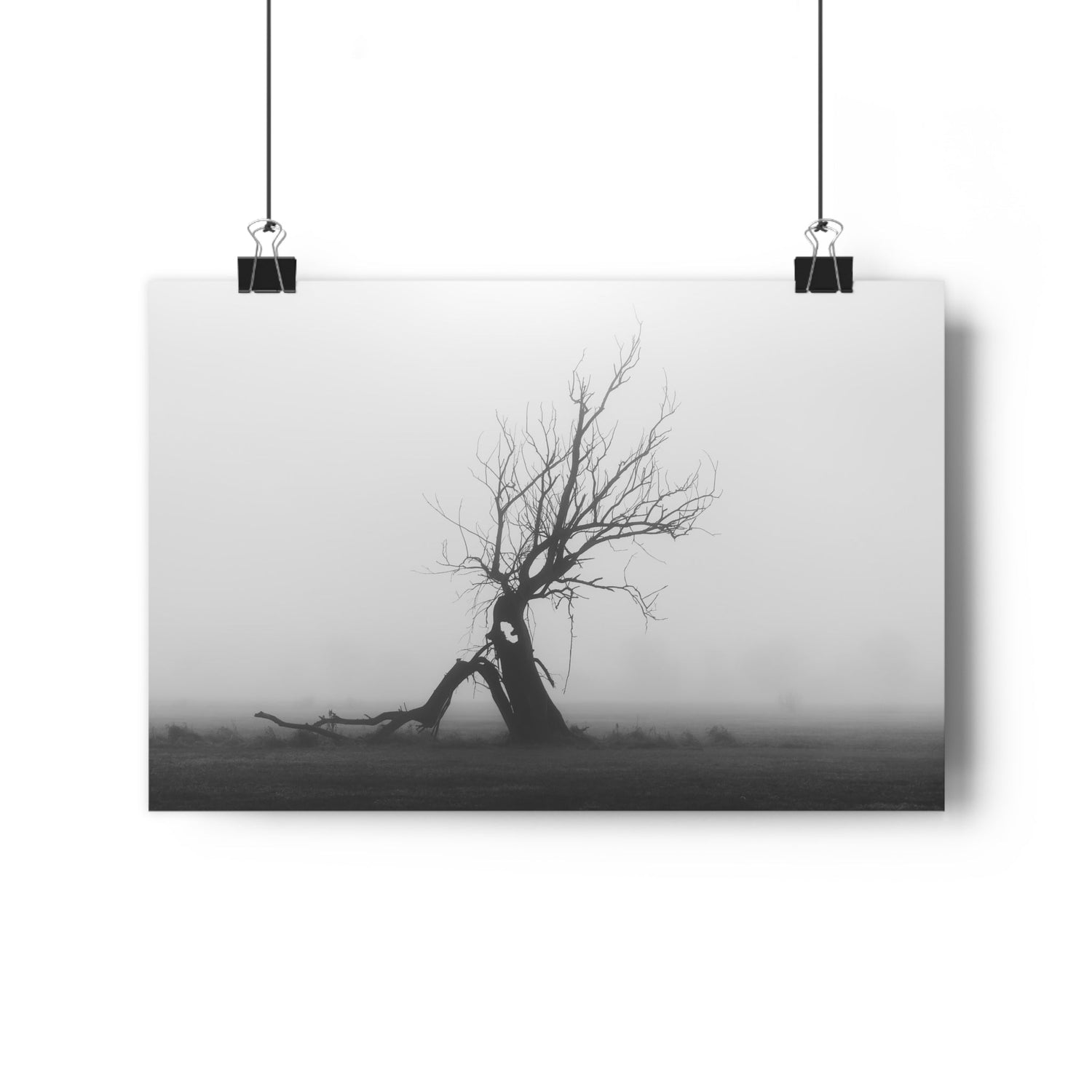 The Last Ent