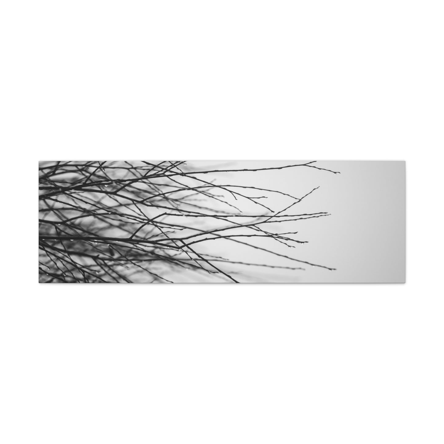 Canvas Print, Winter Tree Branches Matte Stretched