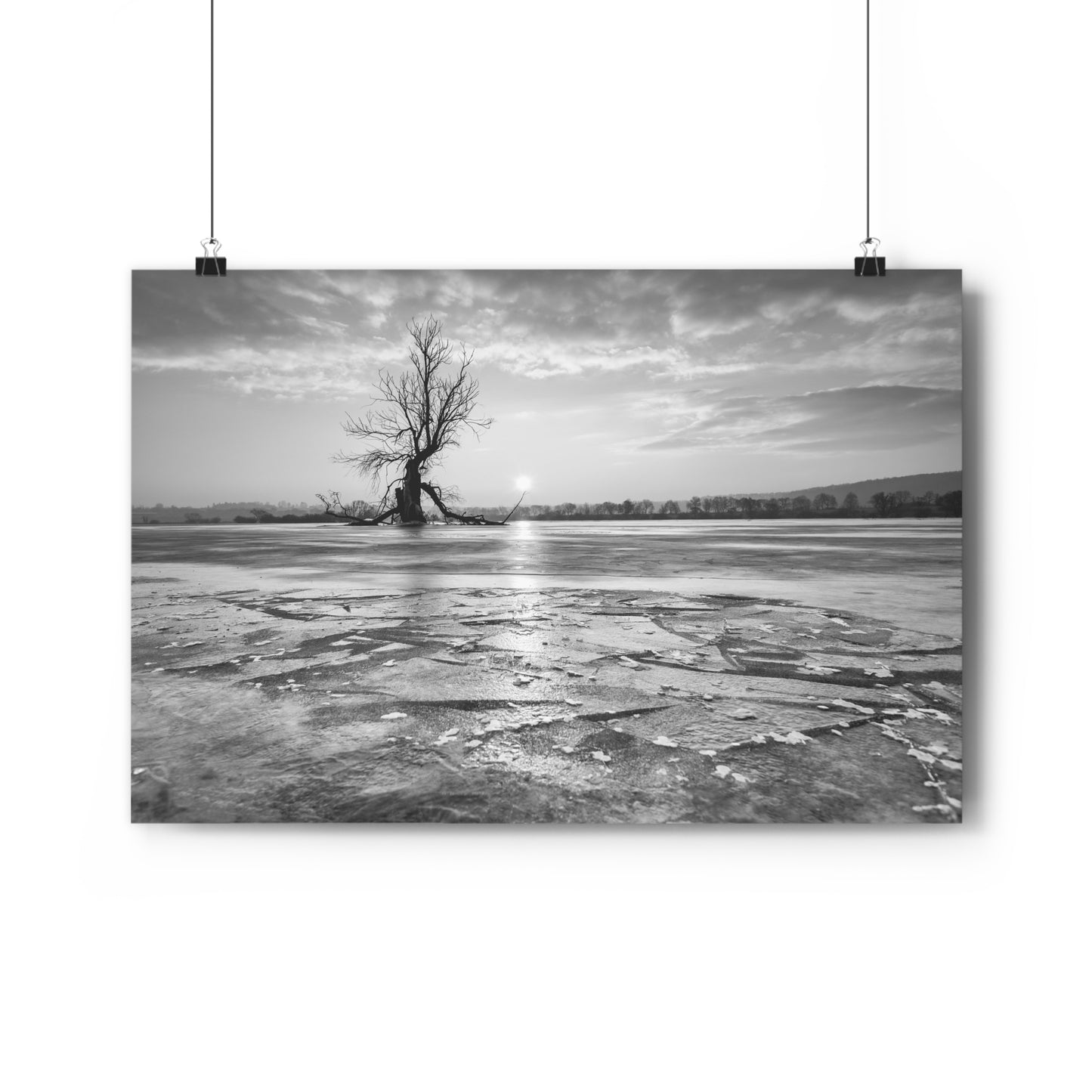 Giclée Art Print, Old Tree 'The Last Ent' Winter Sunset Black White Photo, Wall Art Decor, Nature Lover Gift, Landscape Photography, Fine