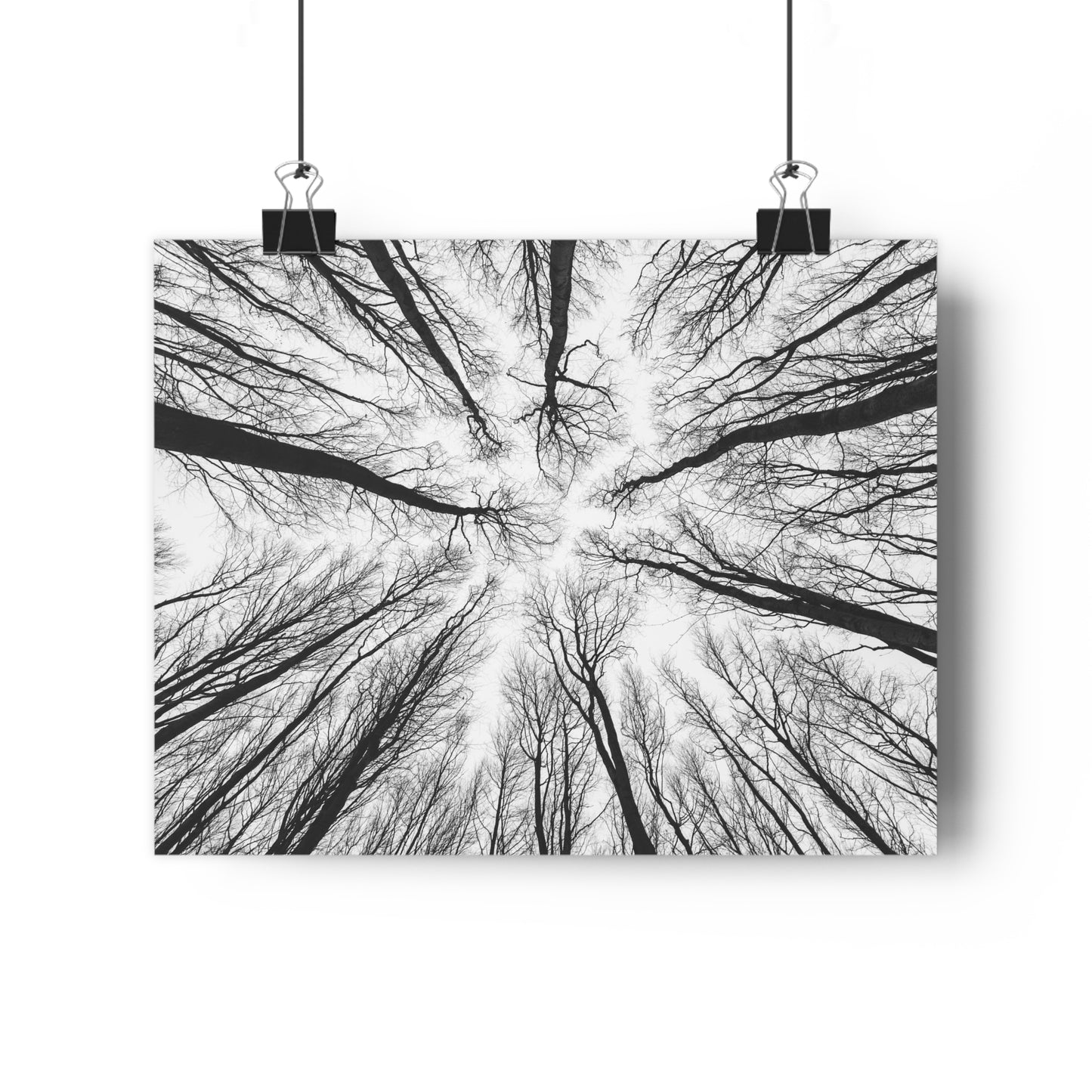 Wall Art Print of Winter Bald Tree Crowns, Black and White Photography, Home Decor, Nature Lover Gift, Christmas Wall