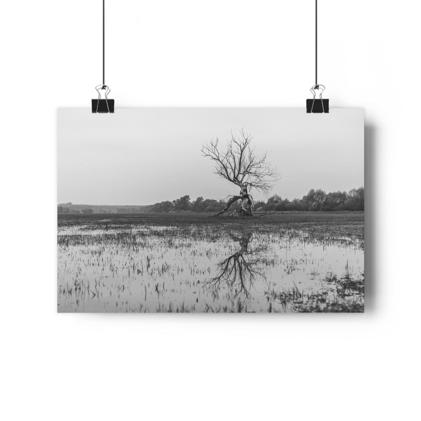 Giclée Art Print, The Last Ent Tree Reflection on Water Surface, Nature Wall Art, Forest Print, Woodland Decor, Tree Artwork