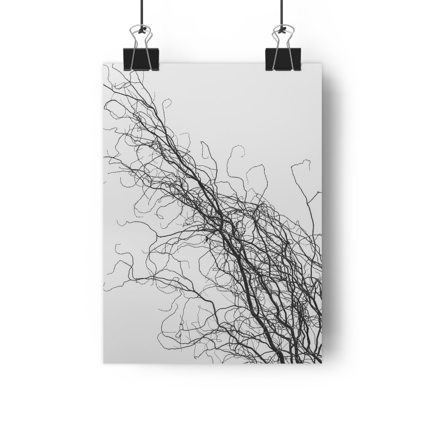 Art Print - Gnarled Bald Tree Branches