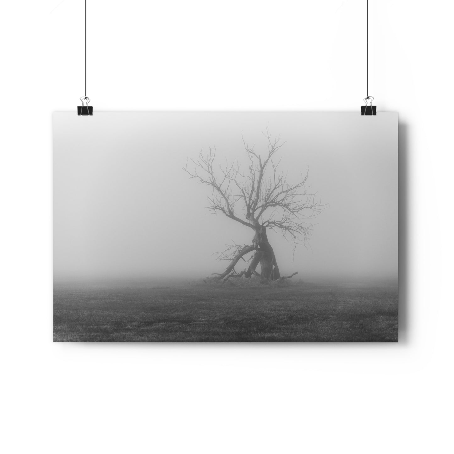 Giclée Art Print, Black and White Tree Photo, Wall Art Decor, Nature Lover Gift, Minimalist Home Decor, Ent Tree Art, Foggy Day Print