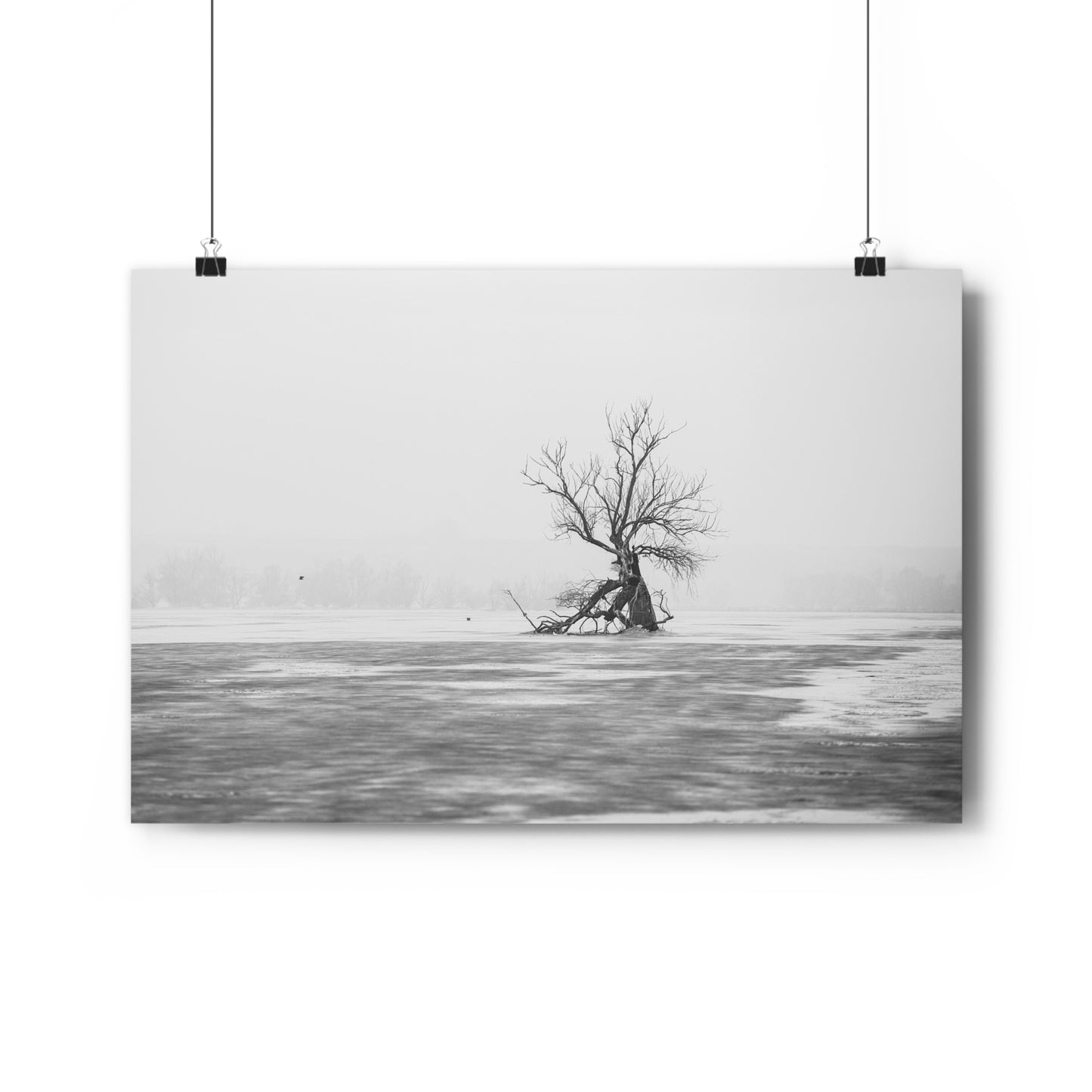 Giclée Print, Black and White Old Tree 'The Last Ent' in Frozen Field Winter Day Photo, Wall Art Decor, Nature Print, Tree Lover Gift, Home