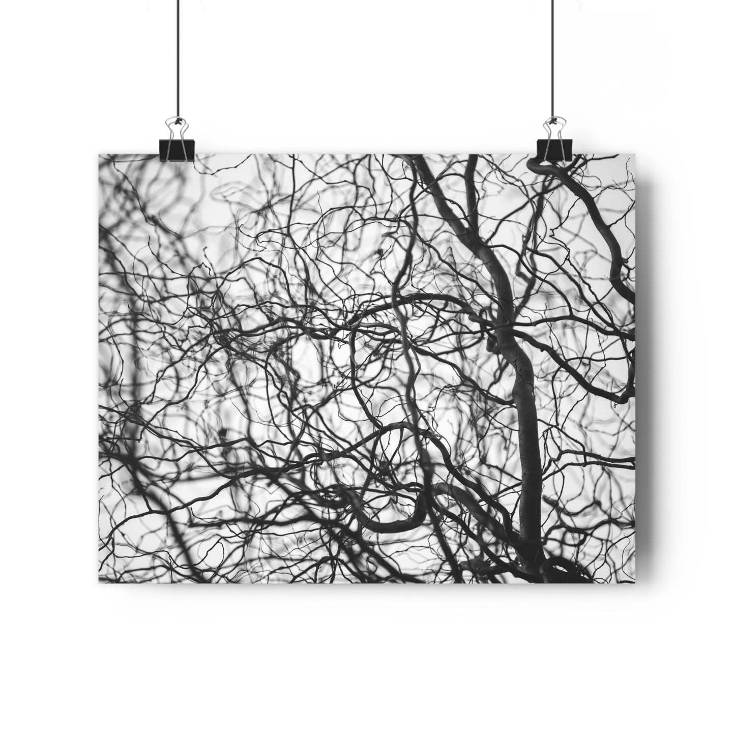 Giclée Art Print, Tree Branches at Winter Time, 'Tangled Whispers', Nature Wall Art, Home Decor, Gift for Nature Lover, Wall Decor, Winter