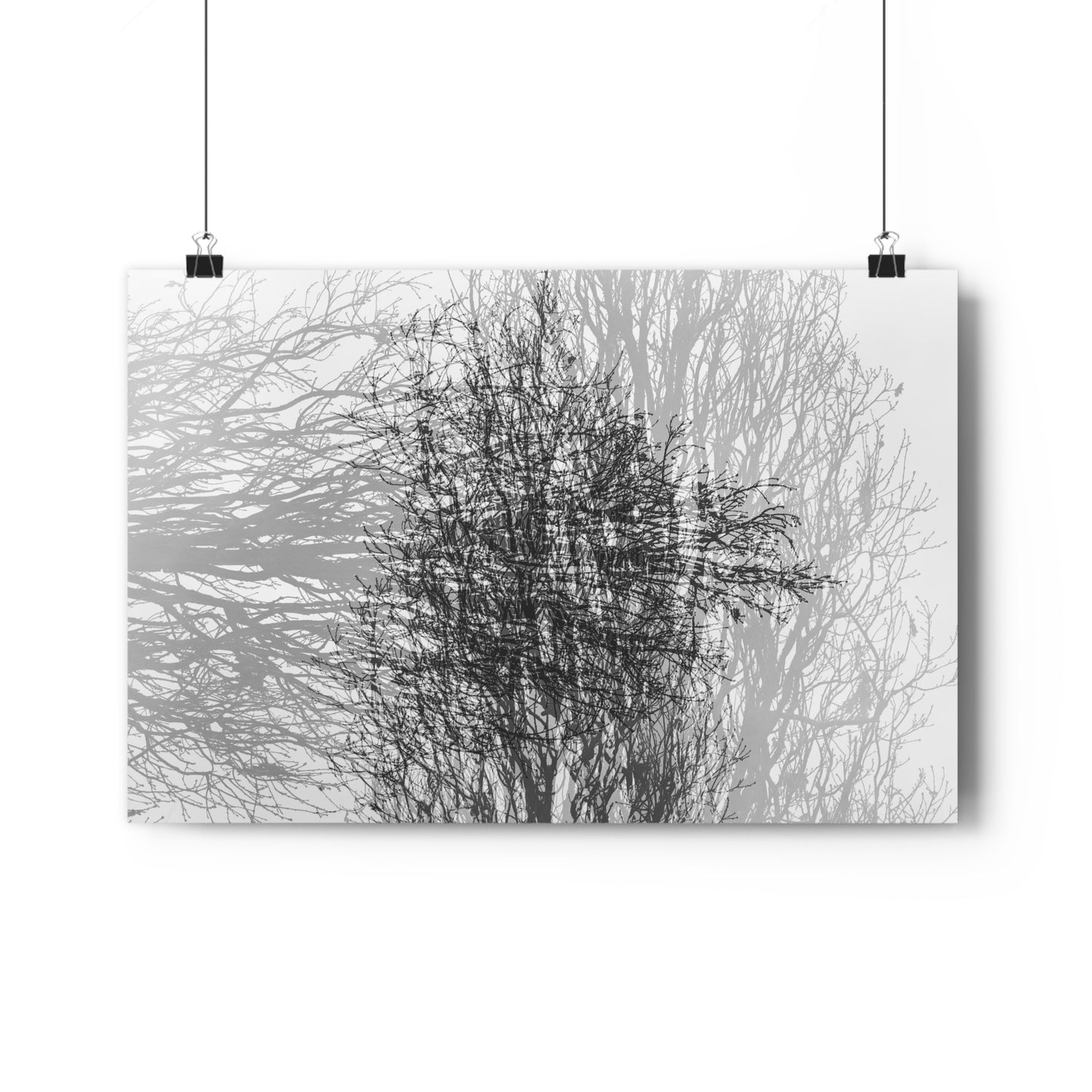 Giclée Art Print, Black and White Winter Tree Photo, Mysterious Multiexposure Wall Art, Home Decor, Nature Photography, Holiday Gift Idea