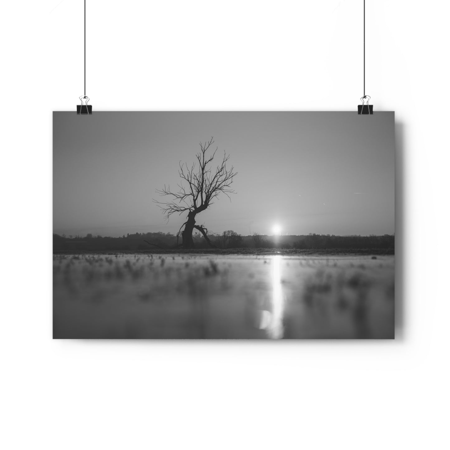 Giclée Art Print, Old Tree 'The Last Ent' Winter Sunset Black White Photo, Wall Art Decor, Nature Lover Gift, Landscape Photography, Fine