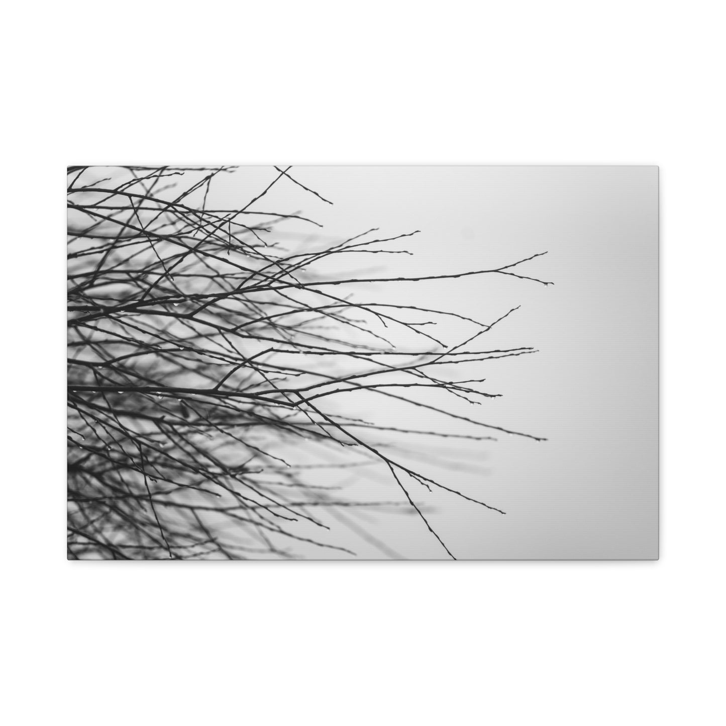 Canvas Print, Winter Tree Branches Matte Stretched