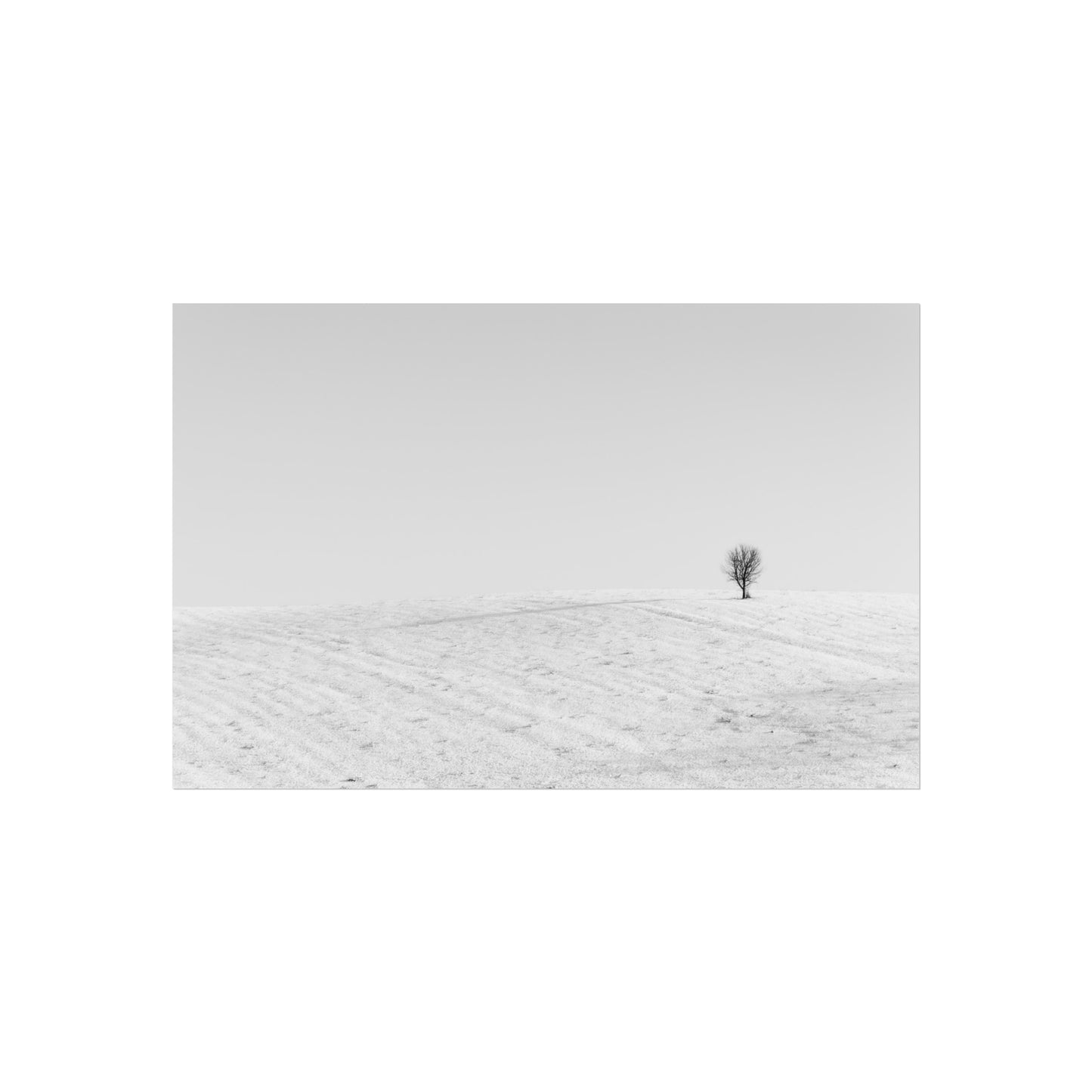 Fine Art Poster - Lone Tree on Snowy Hill Minimal Photo