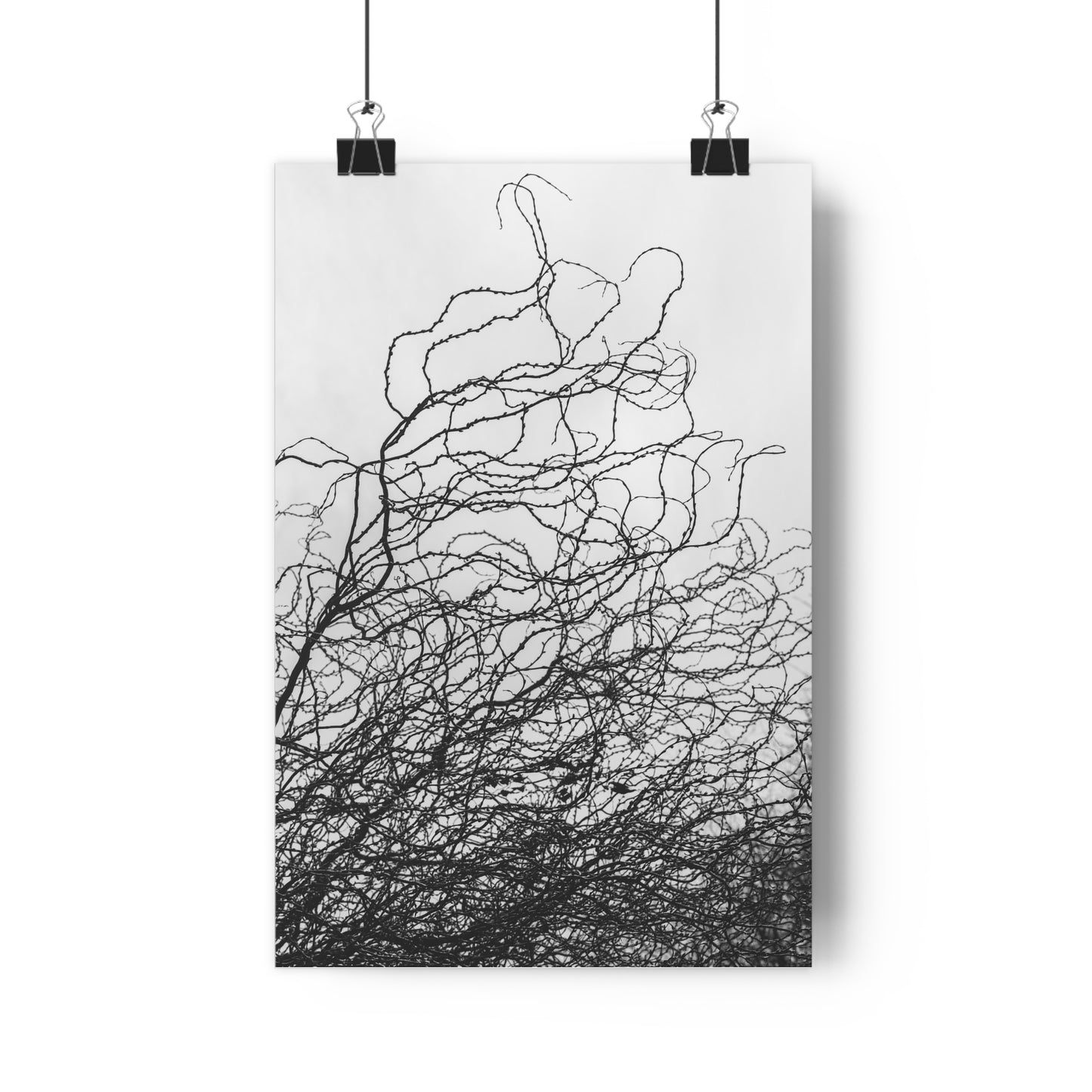 Giclée Art Print, Abstract Black and White Tree Branches, Wall Art Decor, Minimalist Home Decor, Fine Art Photography Print, Modern Art