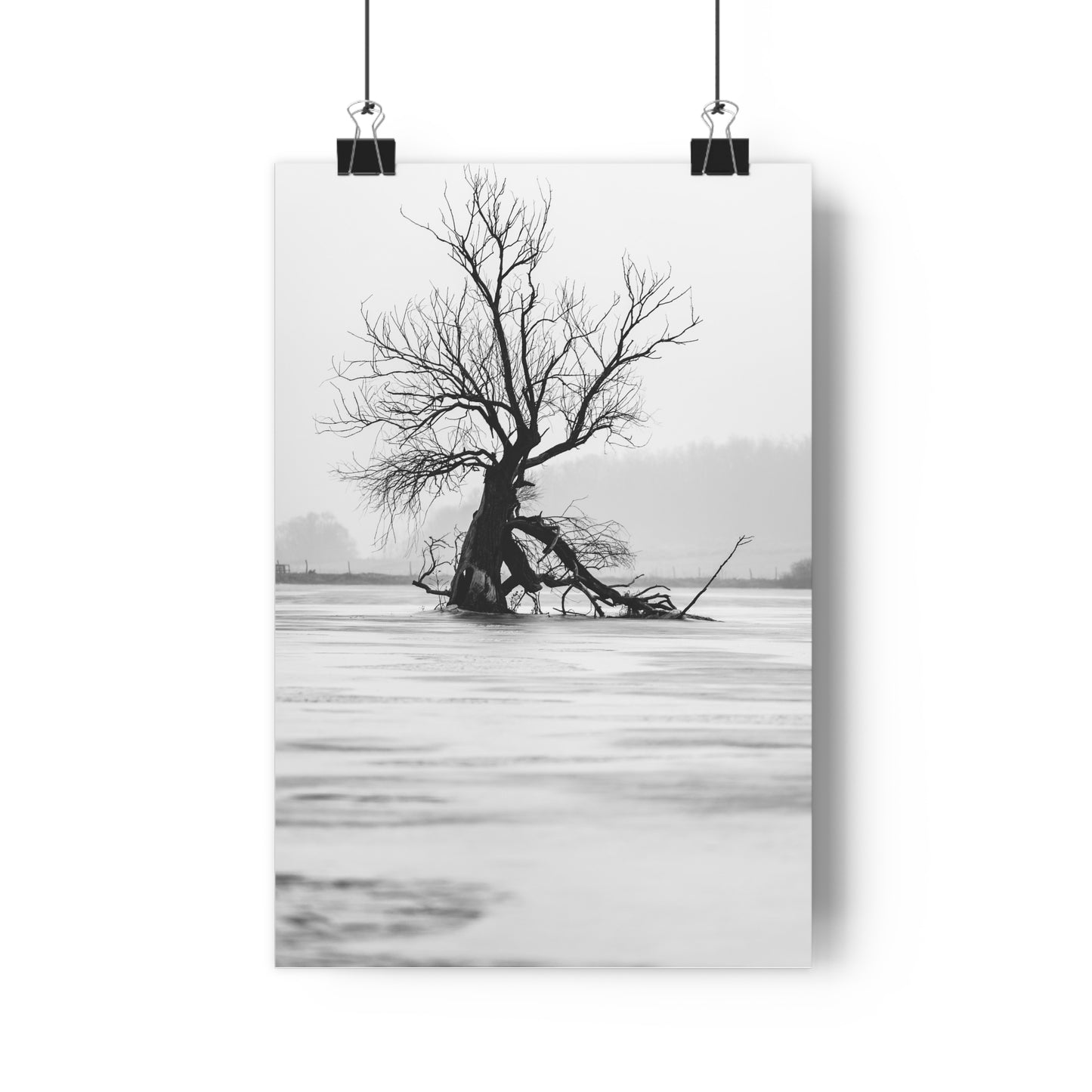 Giclée Print, Black and White Old Tree 'The Last Ent' in Frozen Field Winter Day Photo, Wall Art Decor, Nature Print, Tree Lover Gift, Home