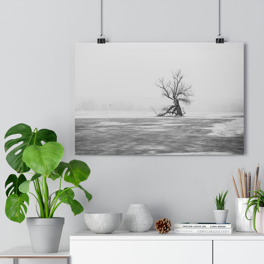 Giclée Print, Black and White Old Tree 'The Last Ent' in Frozen Field Winter Day Photo, Wall Art Decor, Nature Print, Tree Lover Gift, Home
