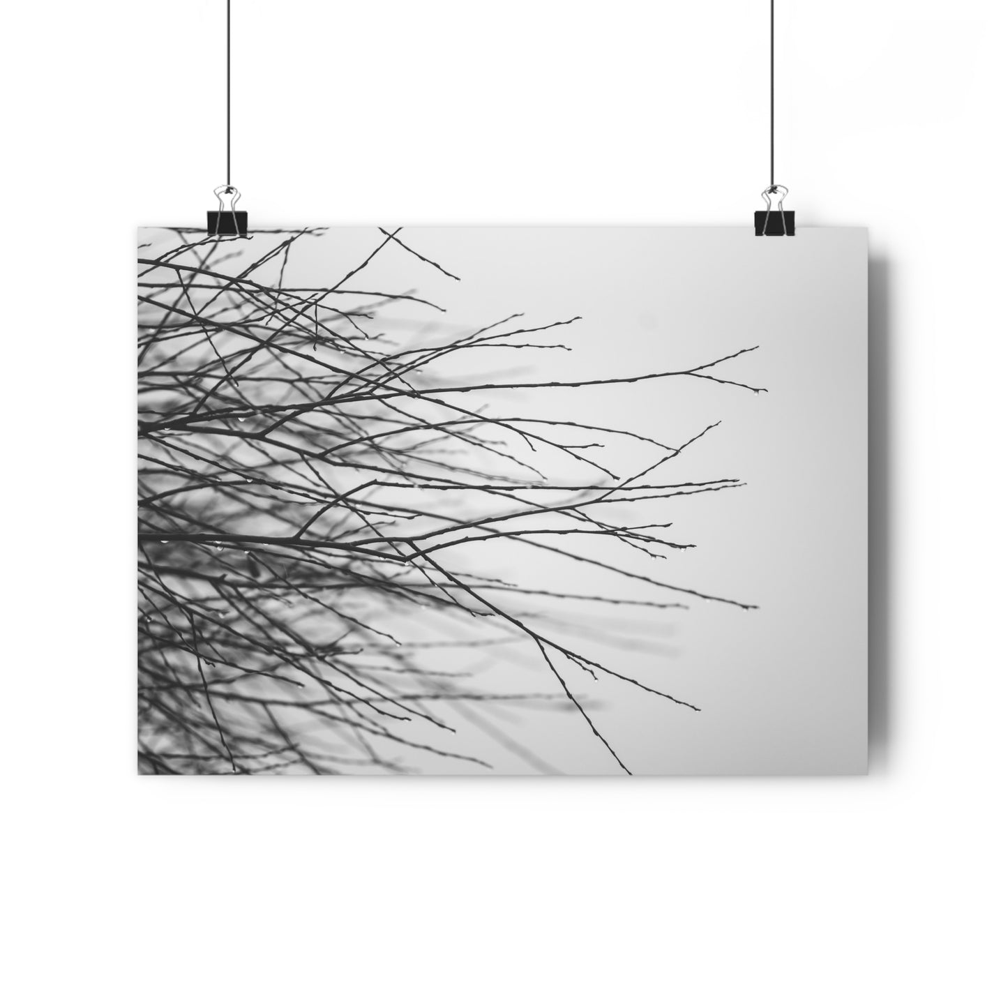 Giclée Art Print, Tree Branches at Winter Time, 'Tangled Whispers', Nature Wall Art, Home Decor, Gift for Nature Lover, Wall Decor, Winter