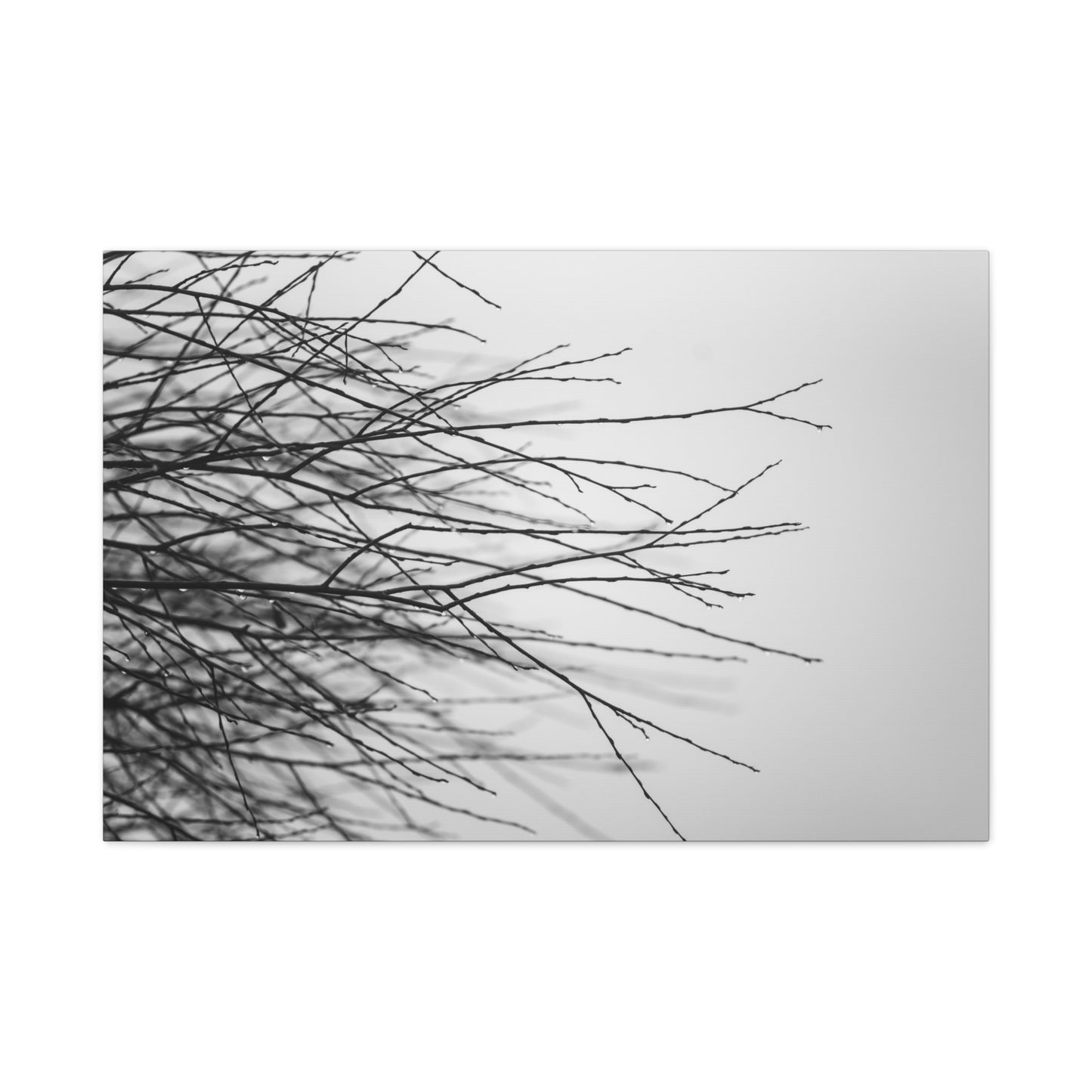 Canvas Print, Winter Tree Branches Matte Stretched